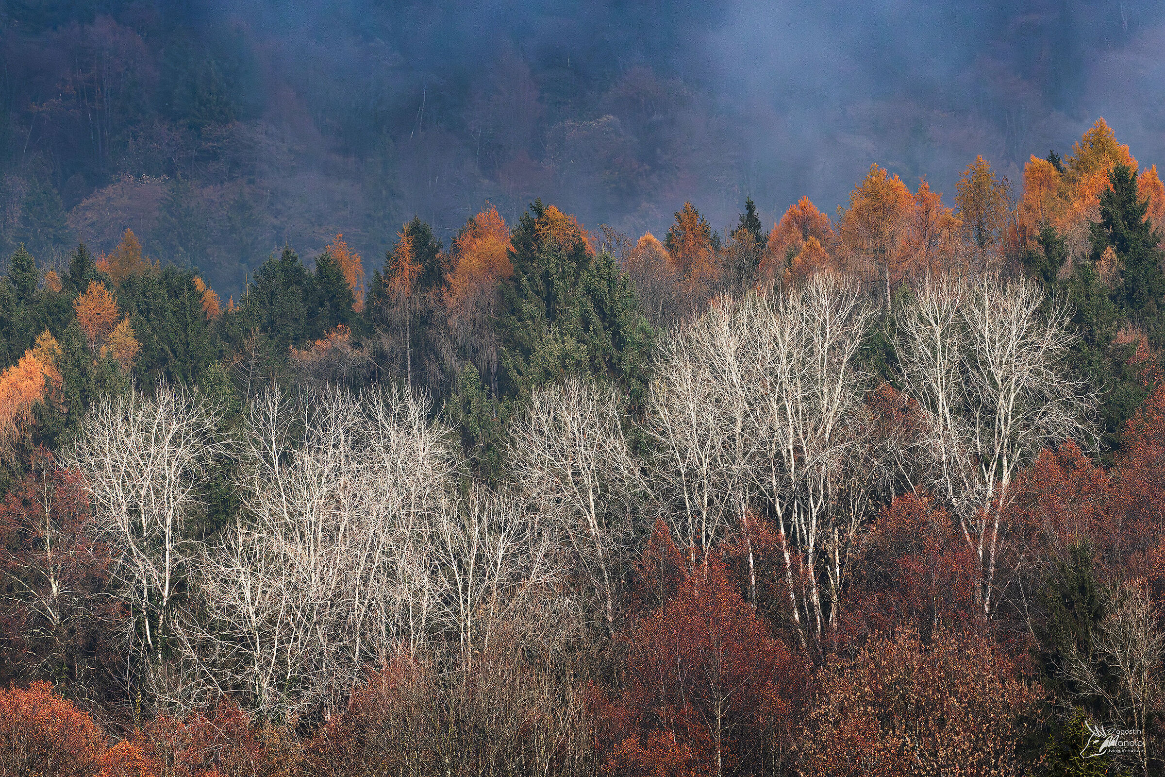 Colors and silence