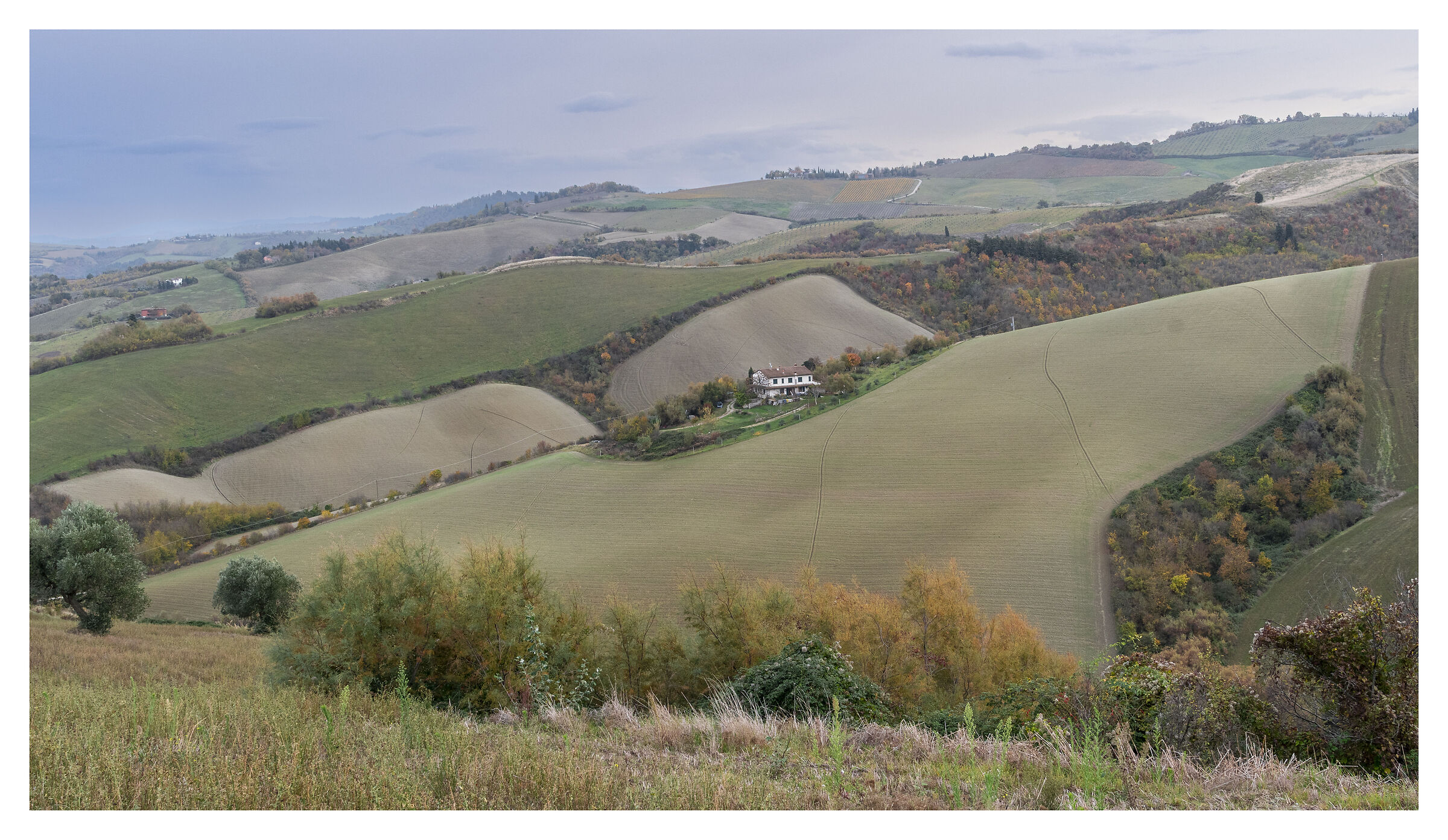Colline Romagnole