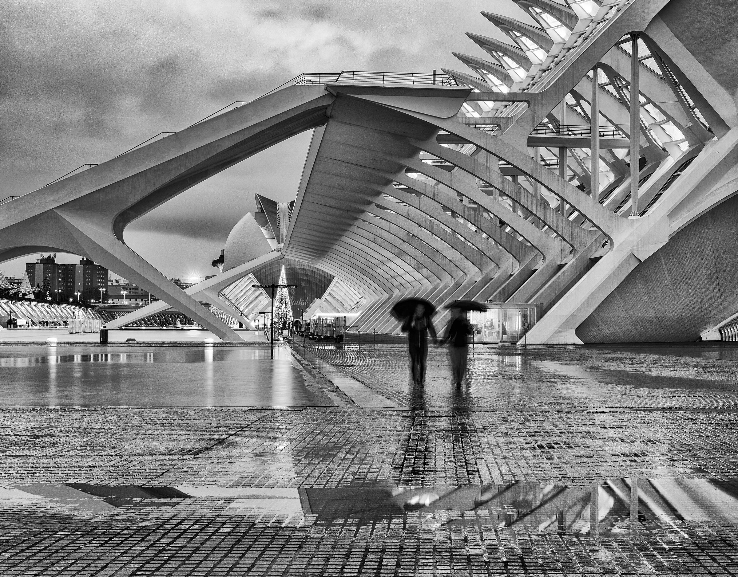 La pioggia unisce ciò che il tempo separa...