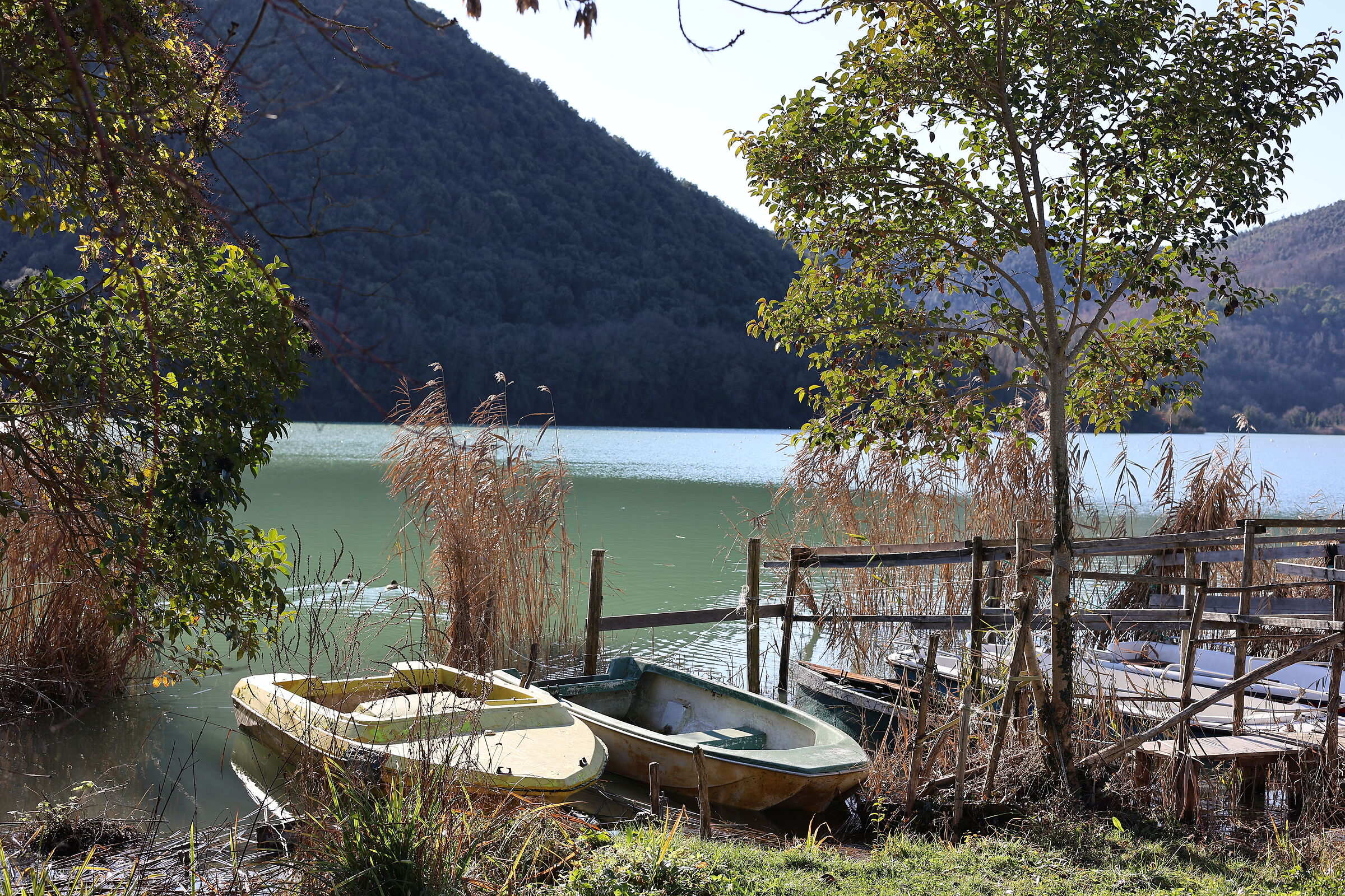 Lake Piediluco