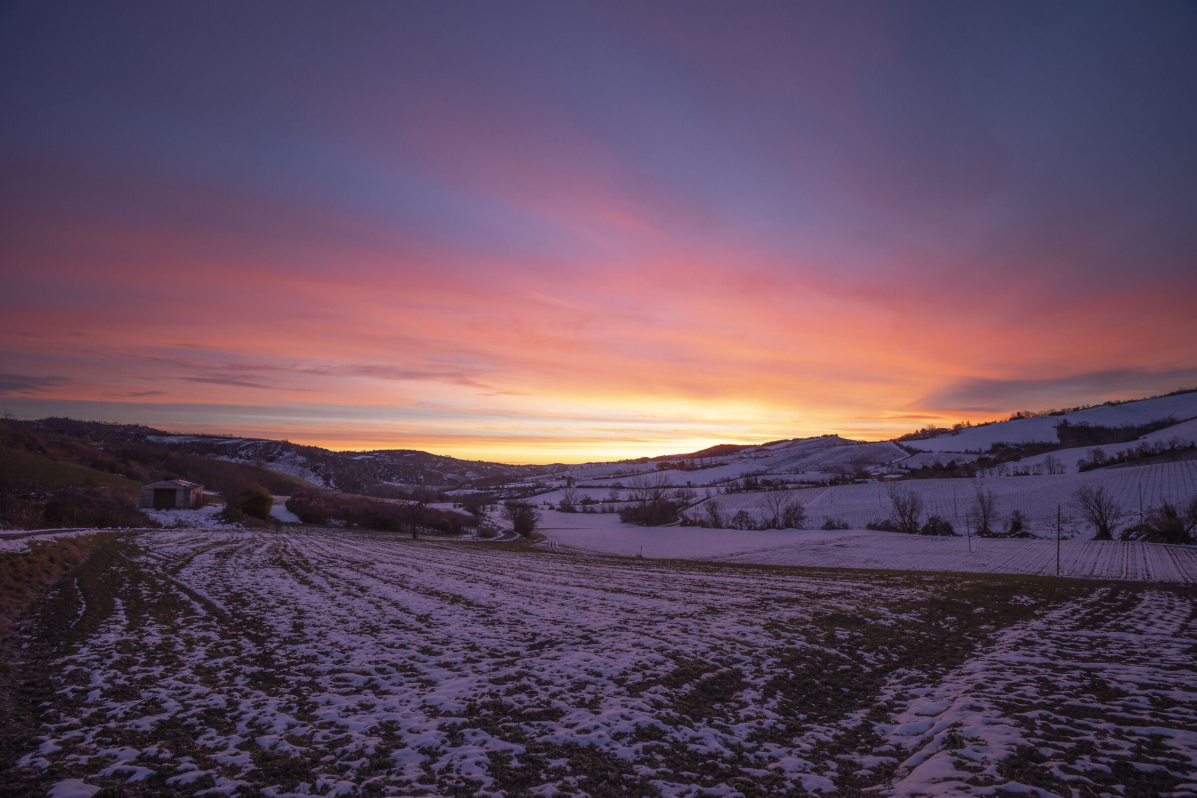 Alba in pieve Sant'Andrea - Imola (bo)