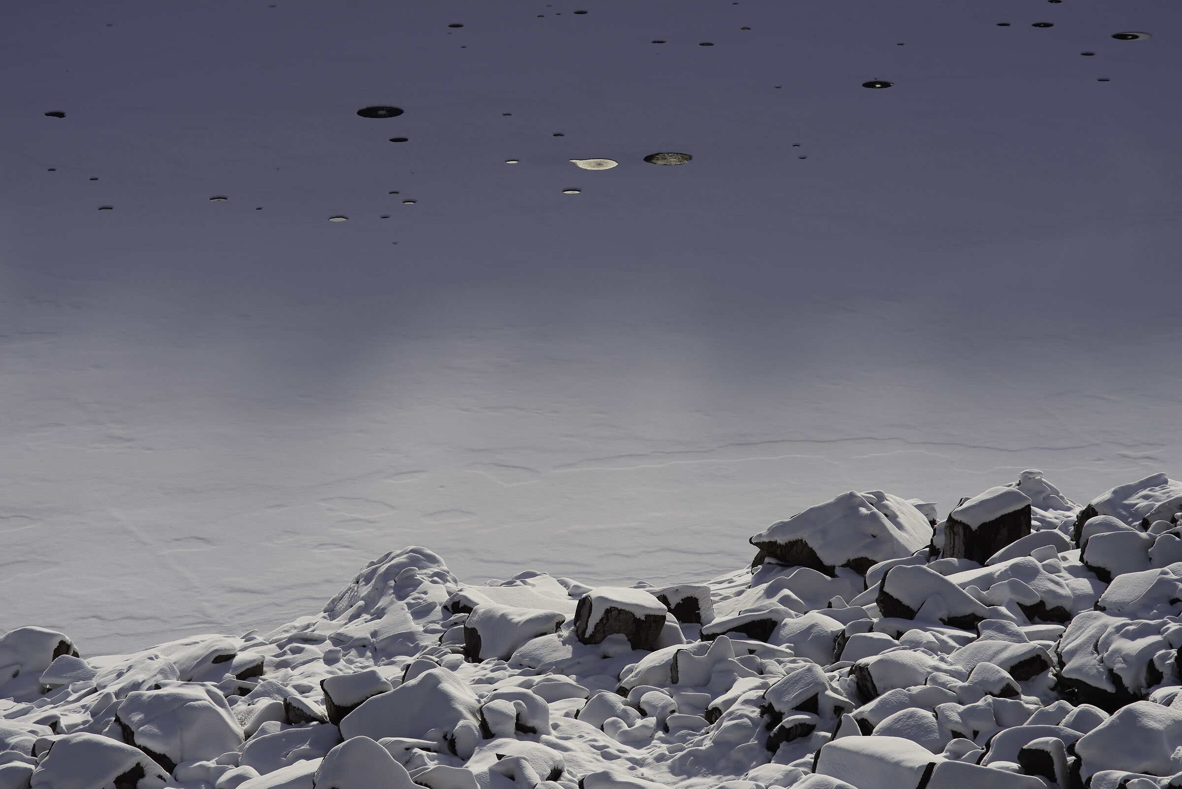 Alien swarm, Lake Paneveggio