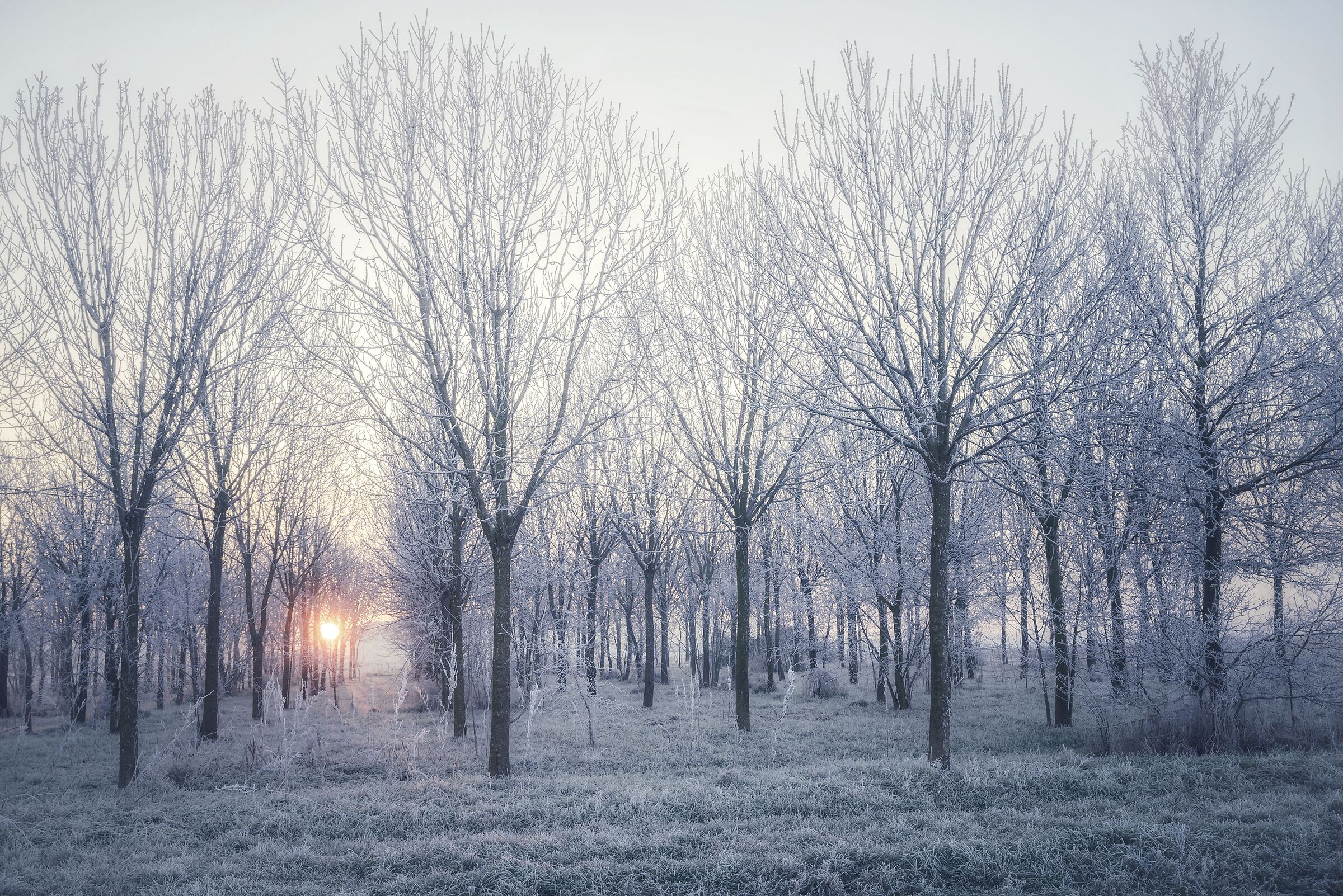 Sometimes it's still winter