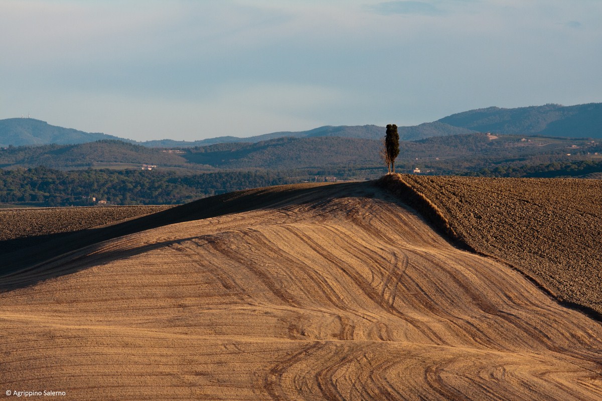 Crete Senesi