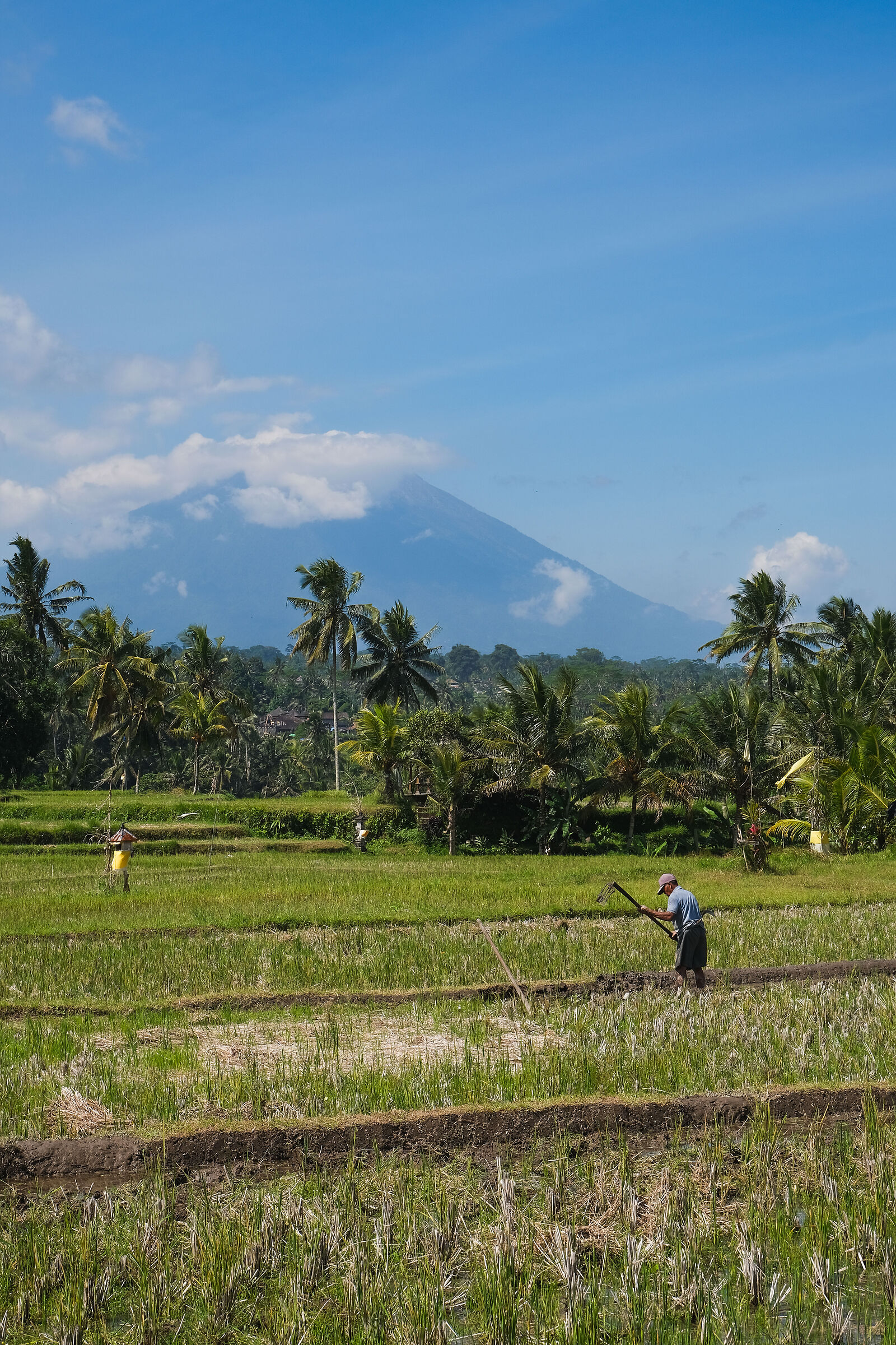 Bali - 2