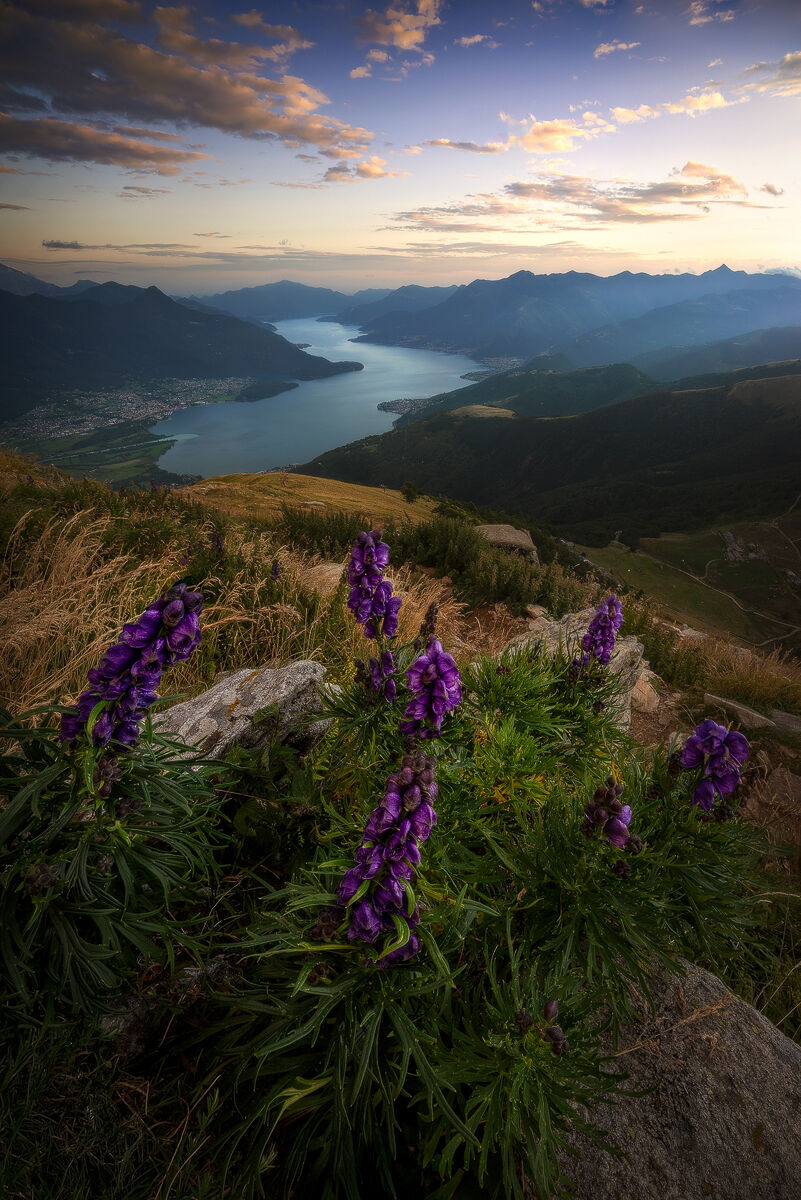 Where beauty becomes truth