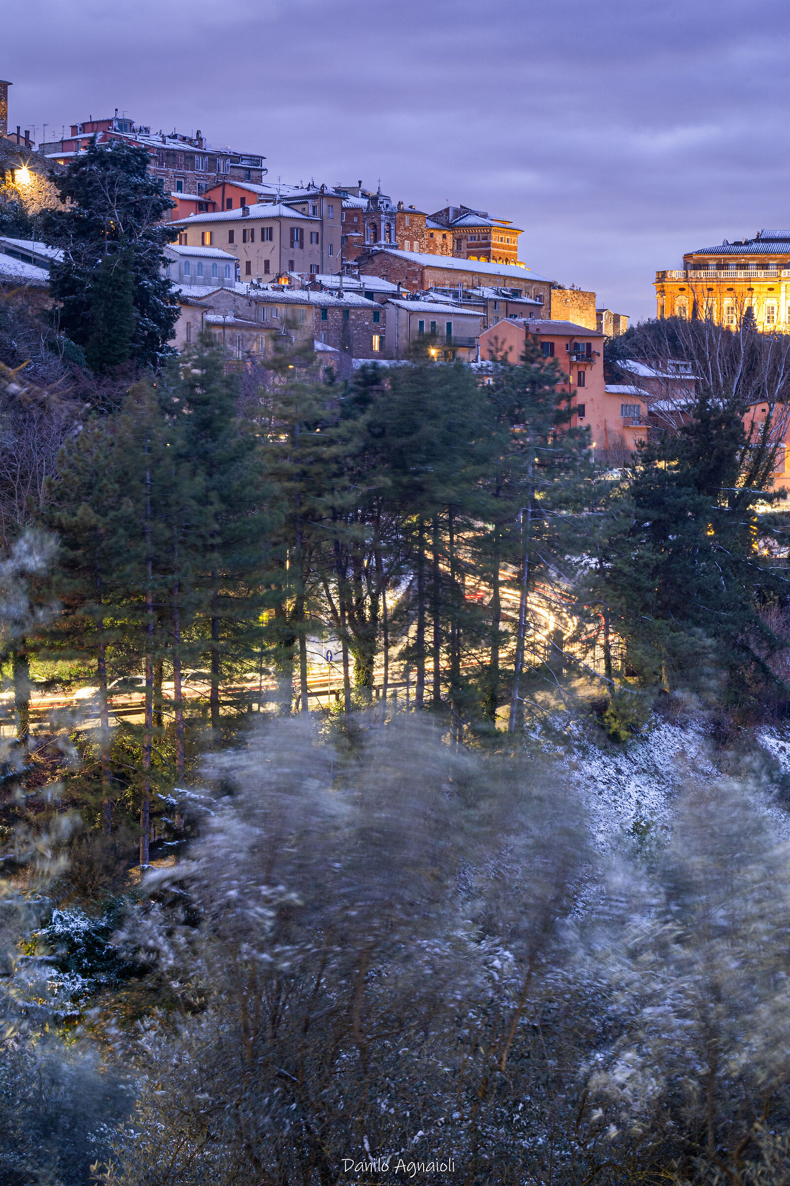 Between rough trees and lit streets