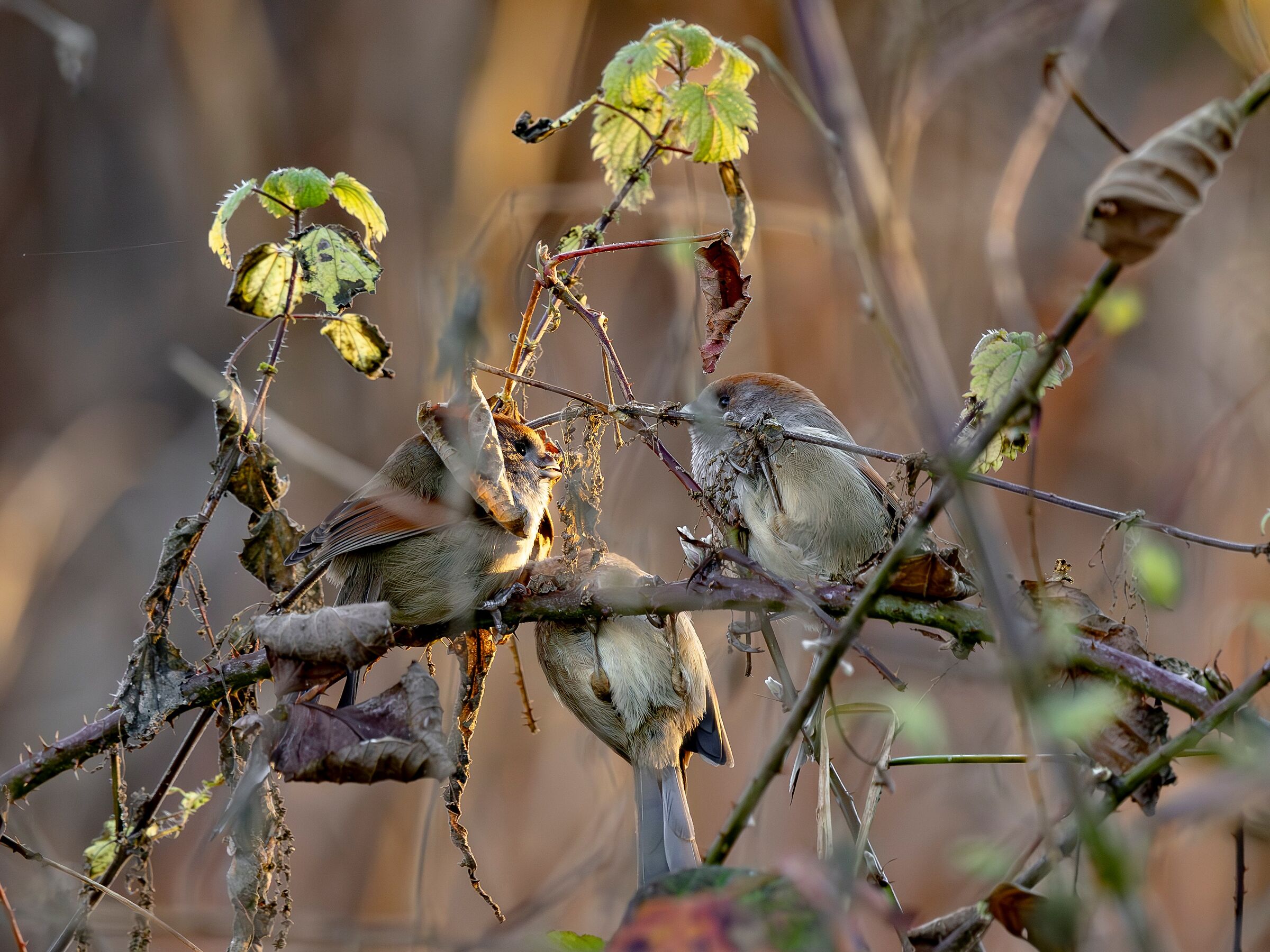 rendez vous con discussione