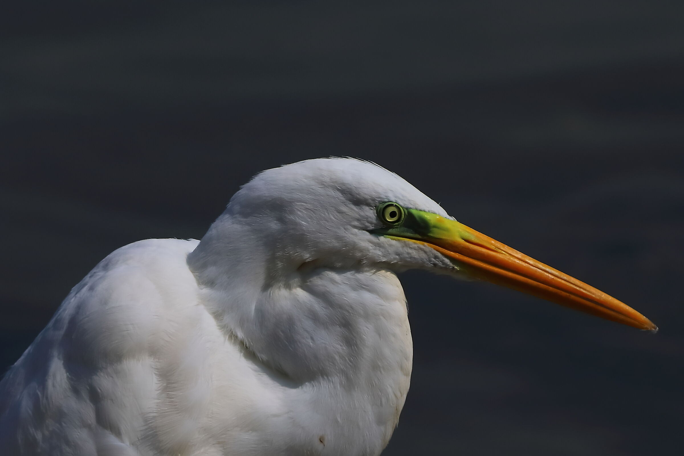 ABM agosto 2025 - 0175