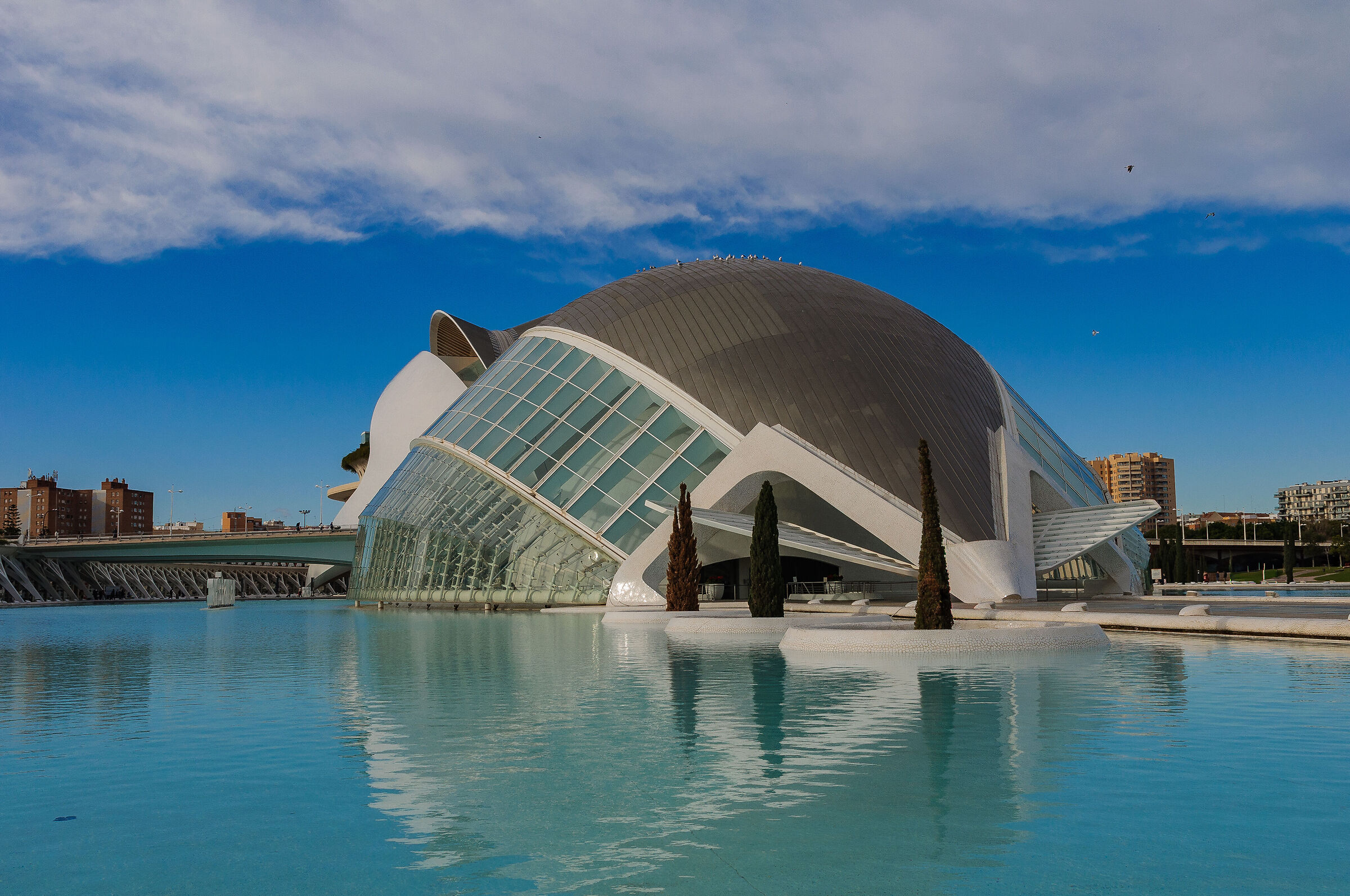 Città della delle arti e della scienza