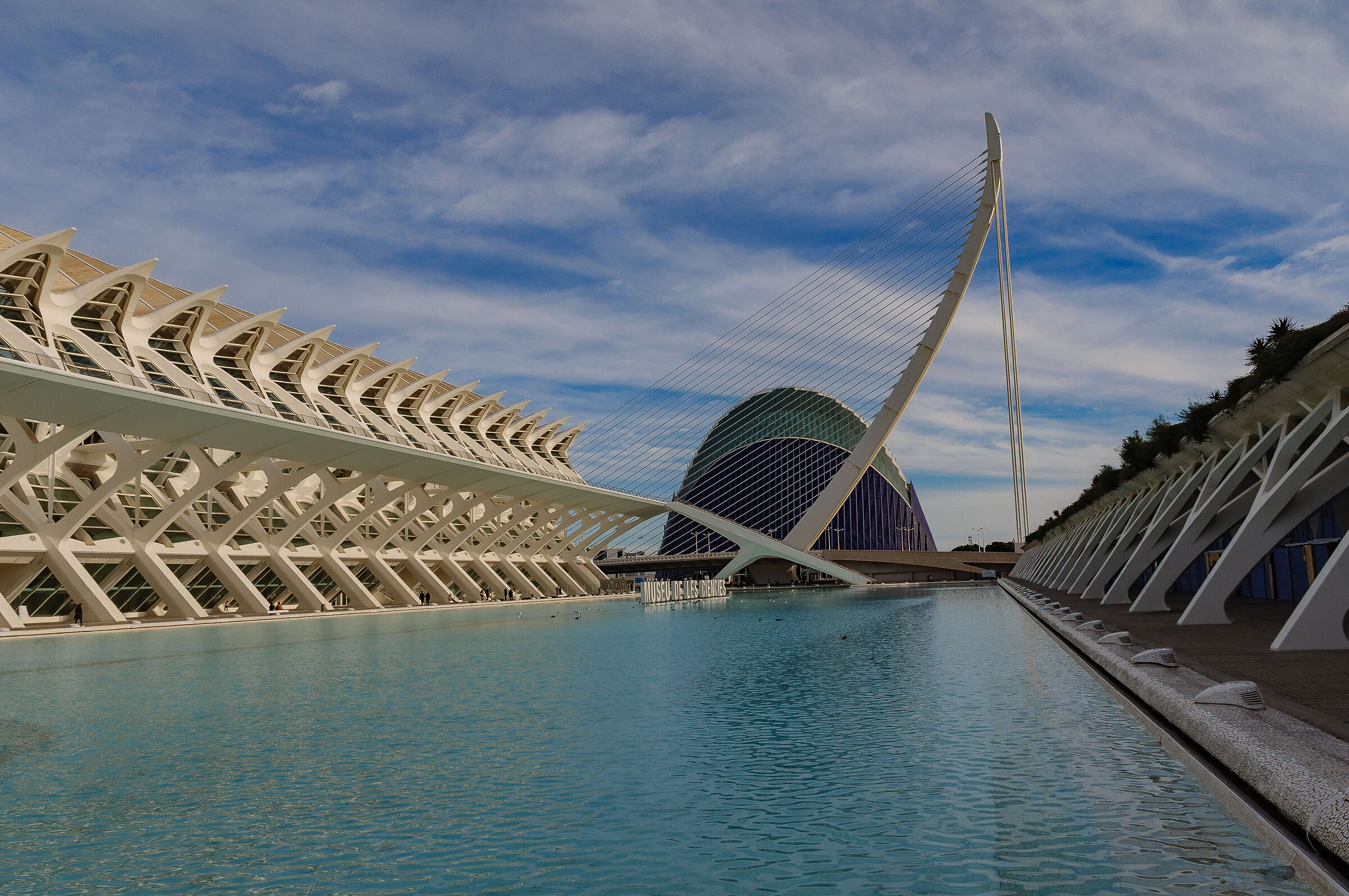 Città della delle arti e della scienza