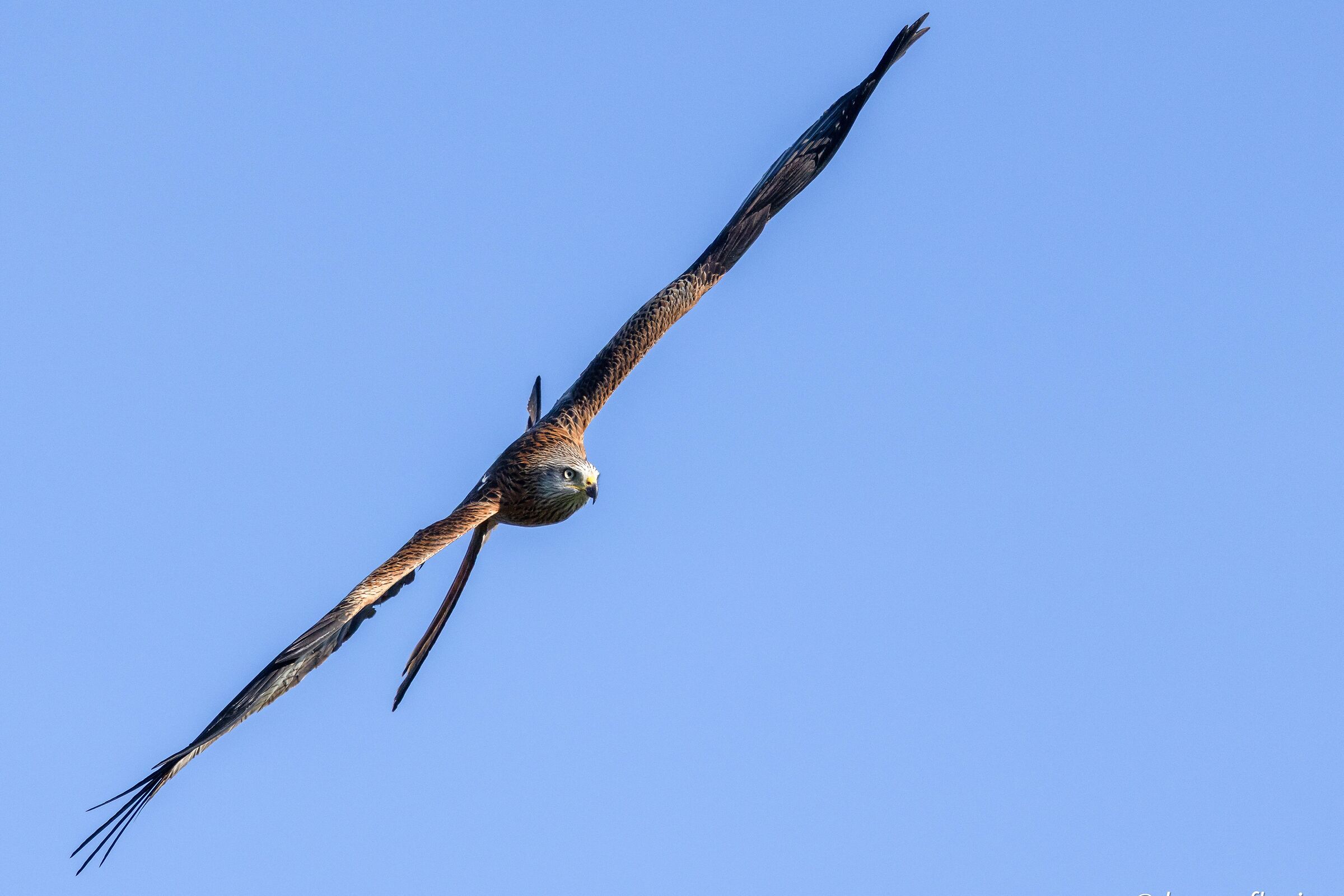 Tutta la barra a dritta!