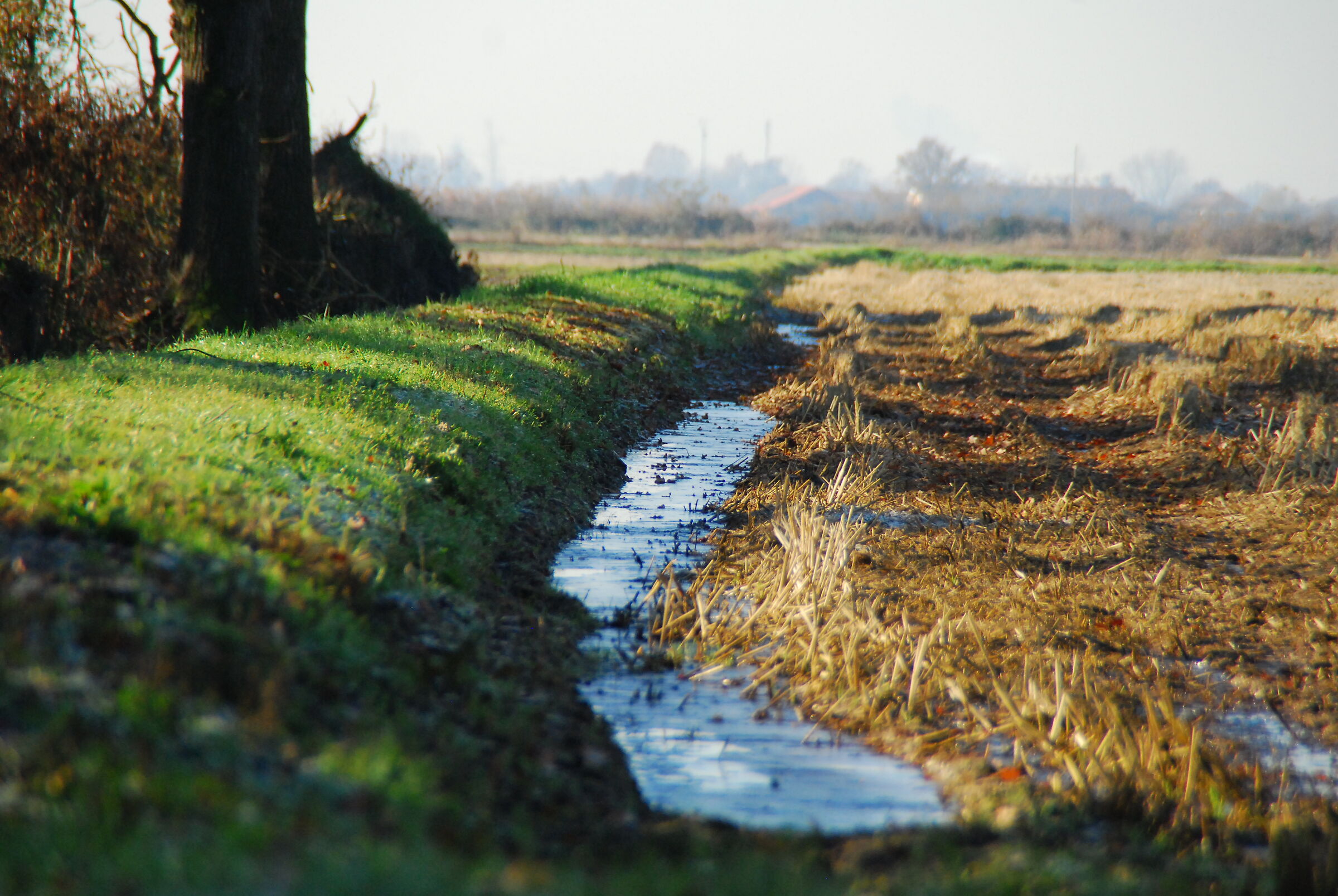 Terra di mezzo