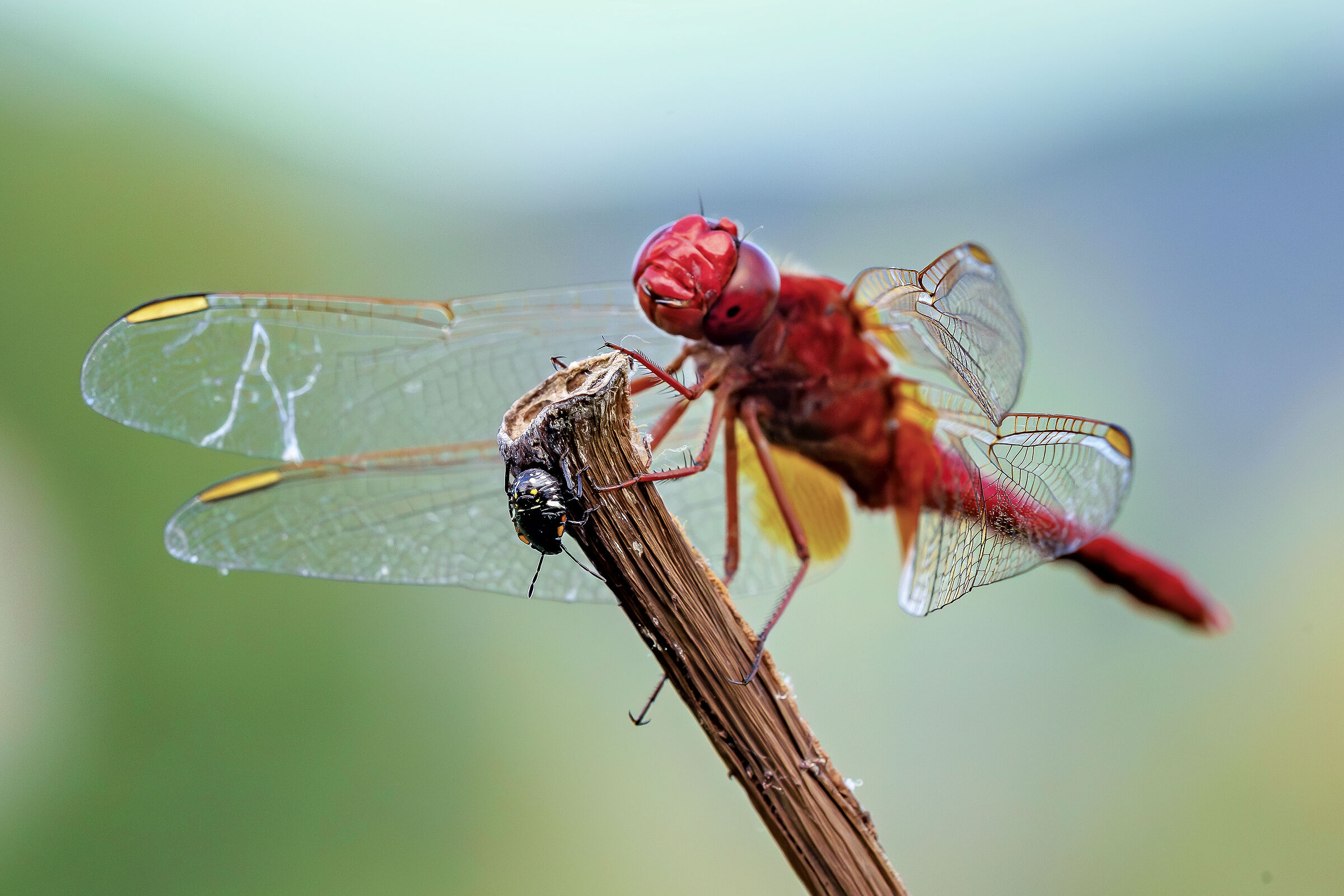 Non gioco più..  me ne vado....