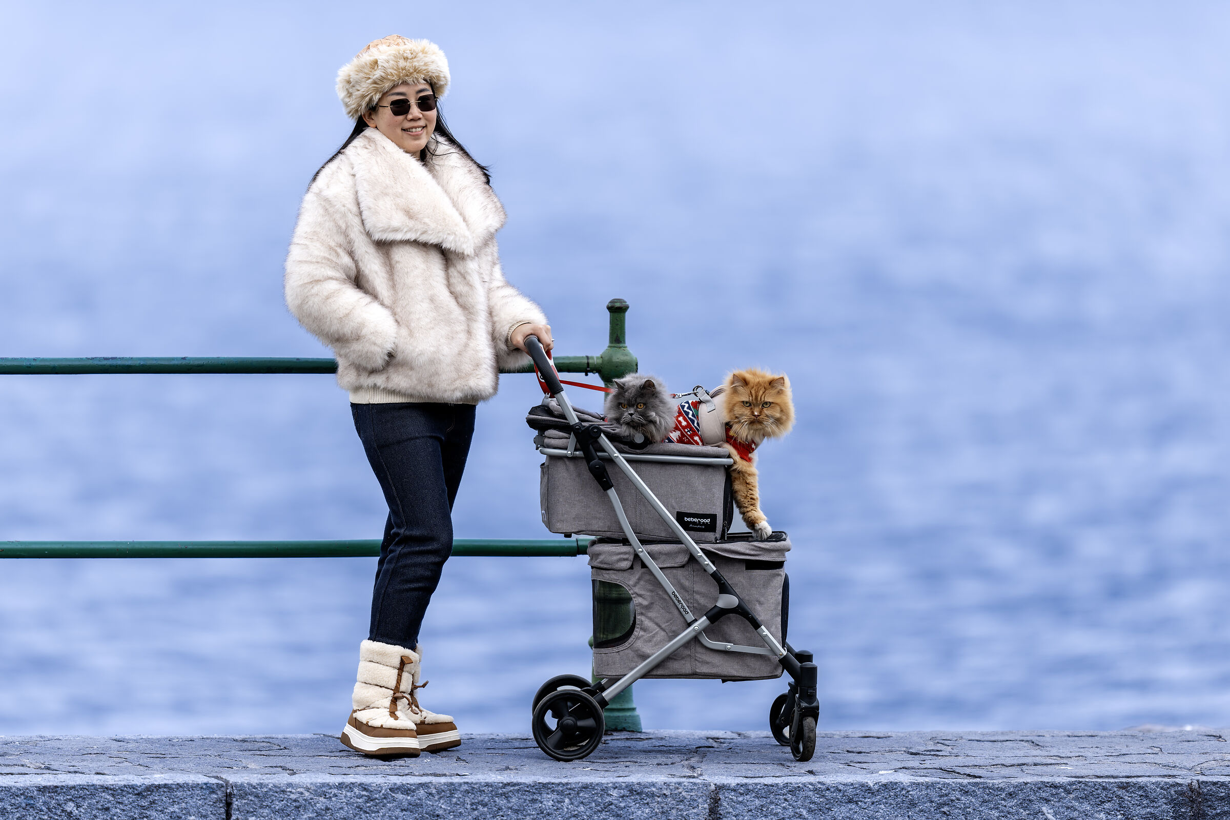 Into the winter with cats