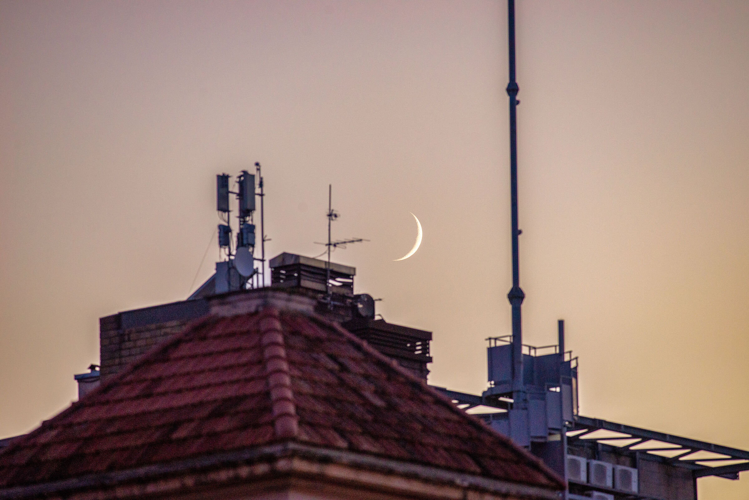 Falce di luna