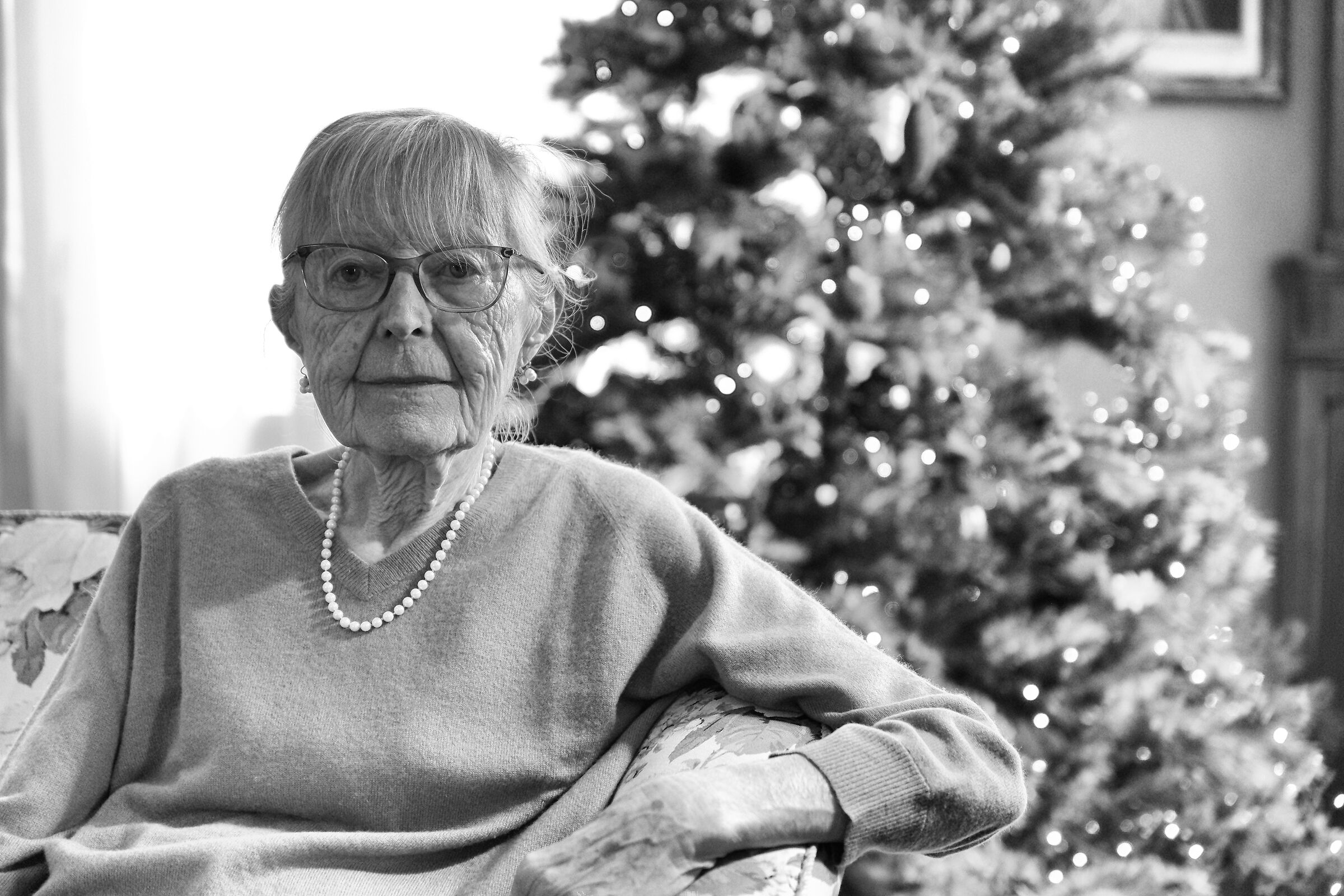 the Christmas tree and its lights ....