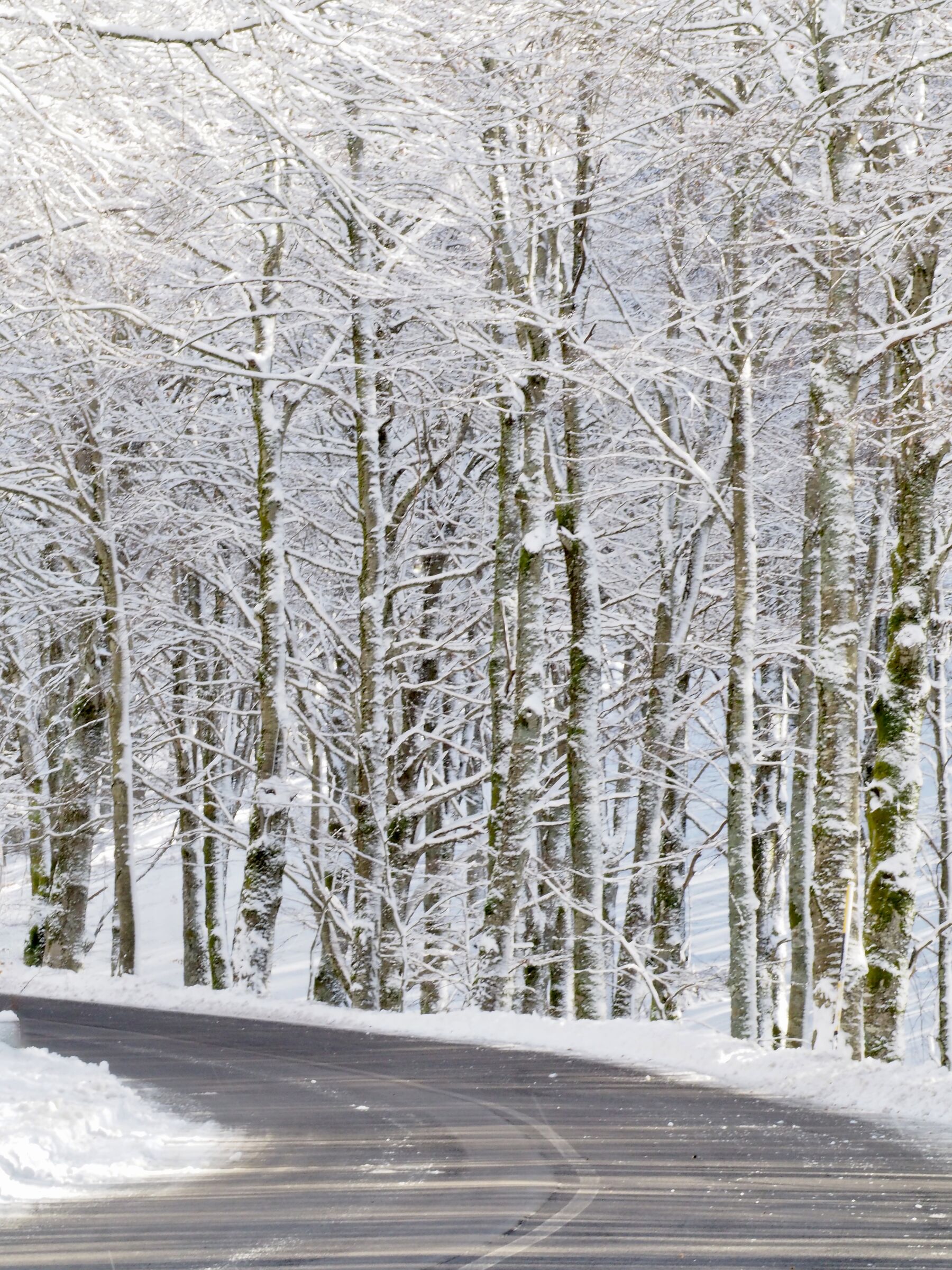 La prima neve ricercata dell'anno