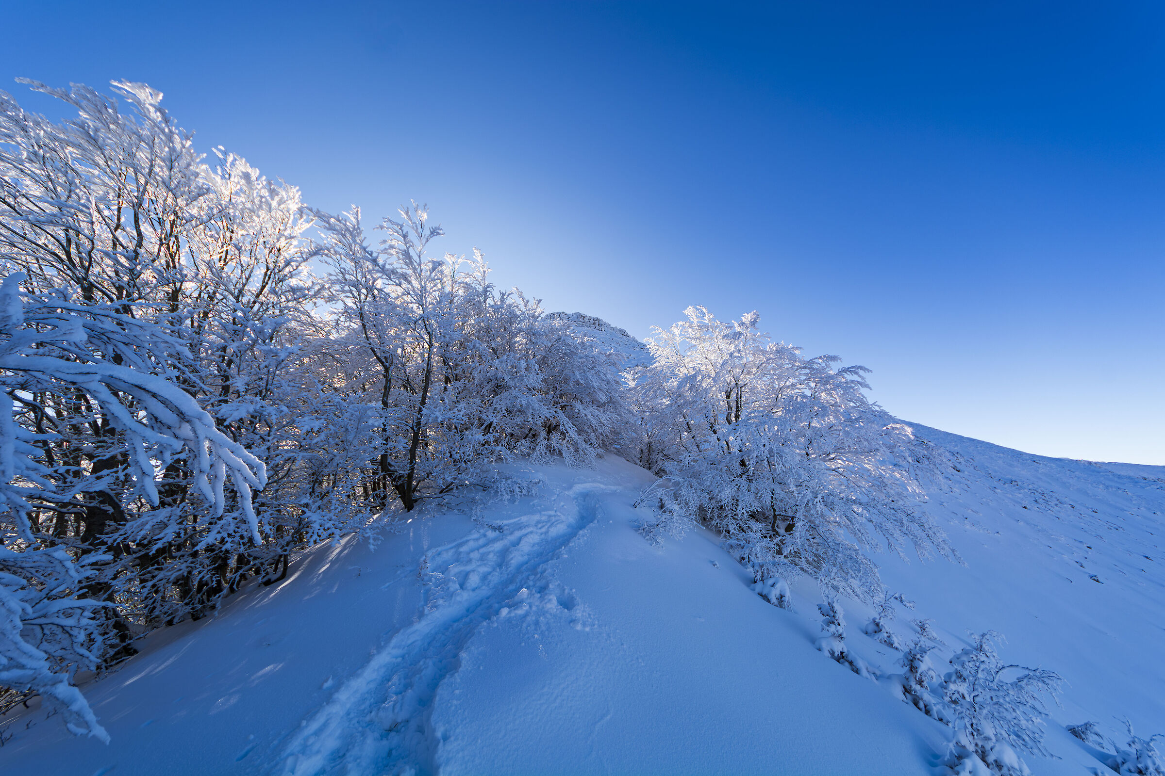 The track to the summit