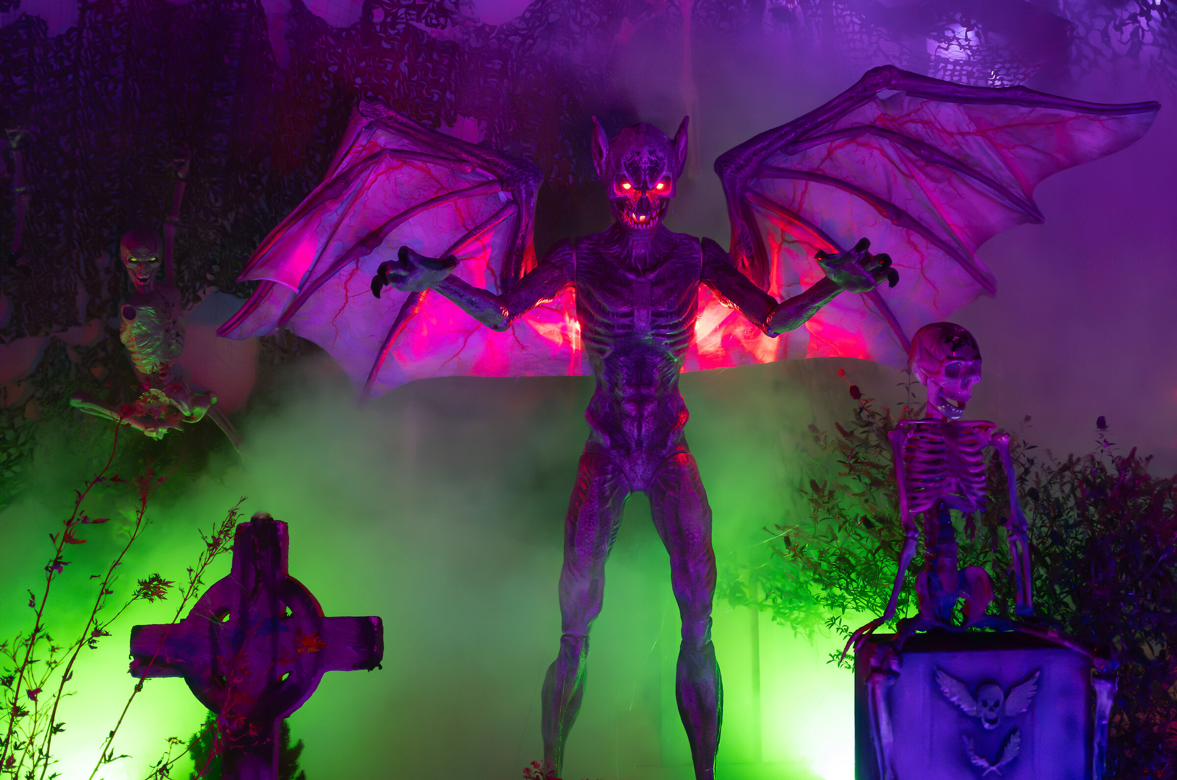 Moth Man - Halloween