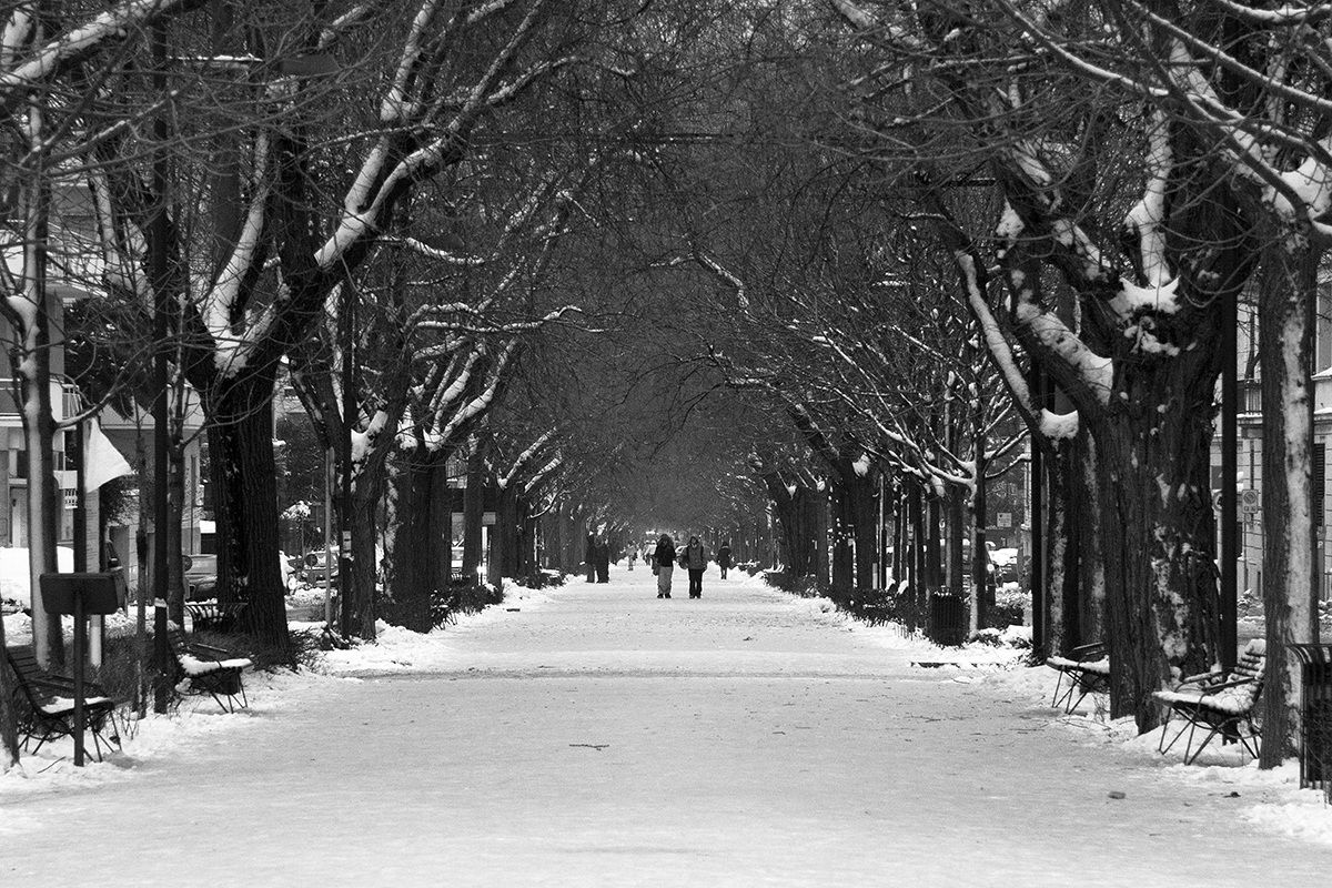 Ancona and His Winter