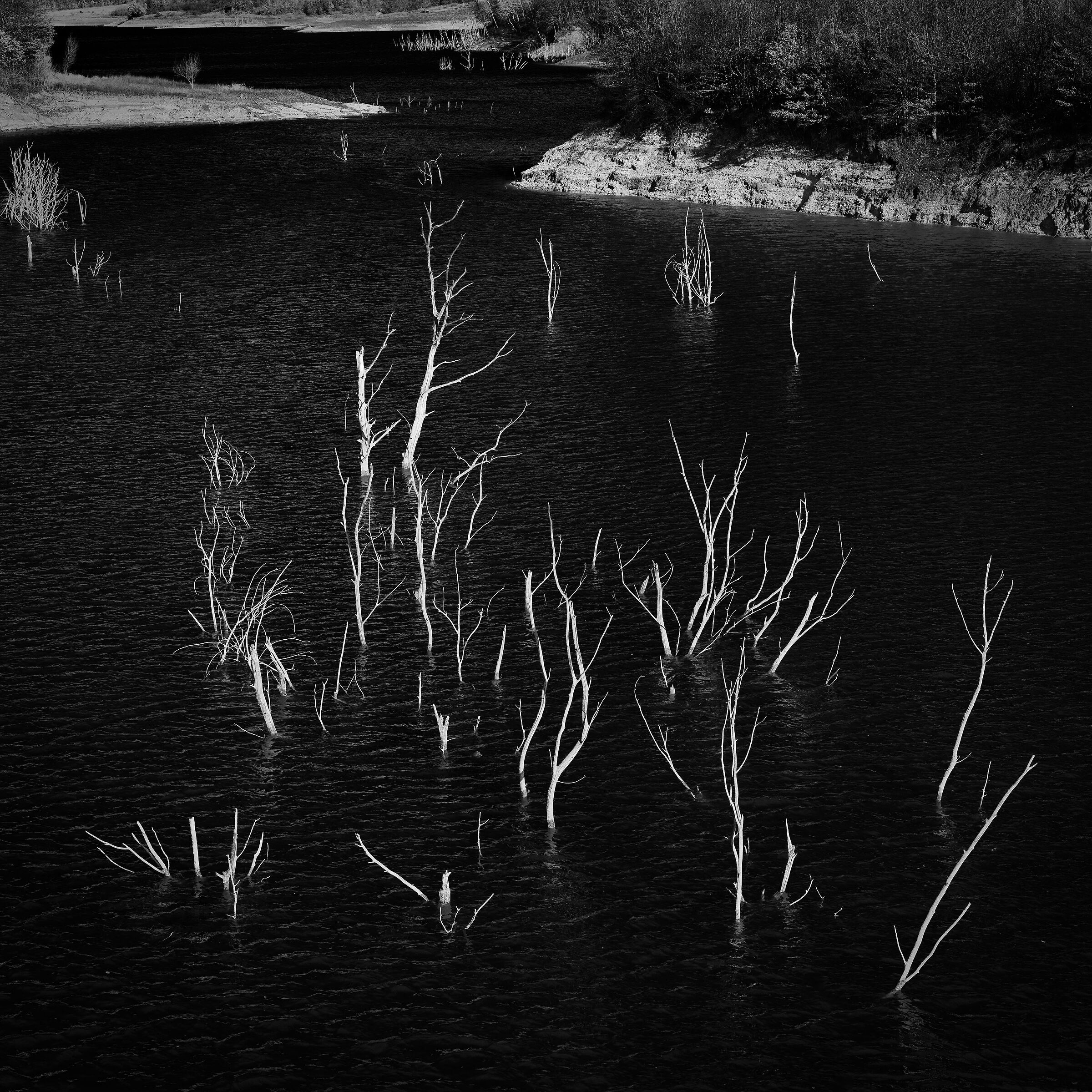 come anime dannate...