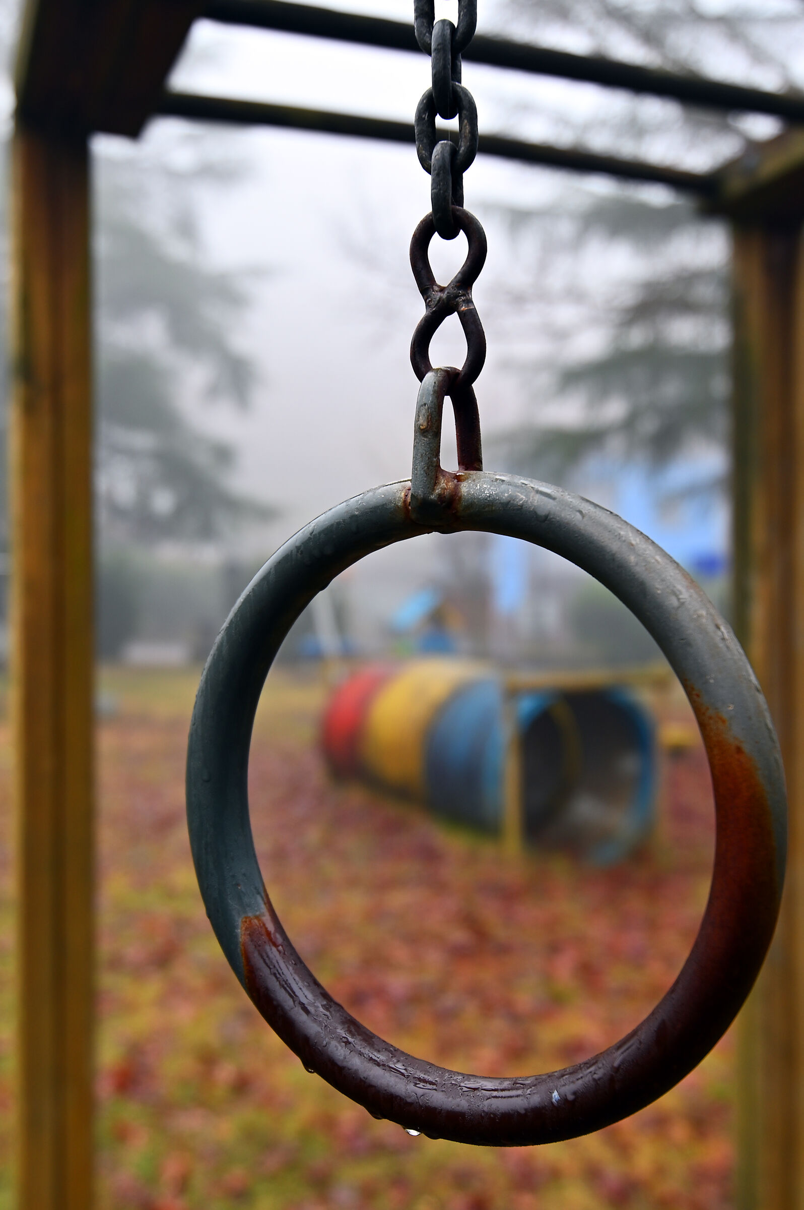Sintesi invernale
