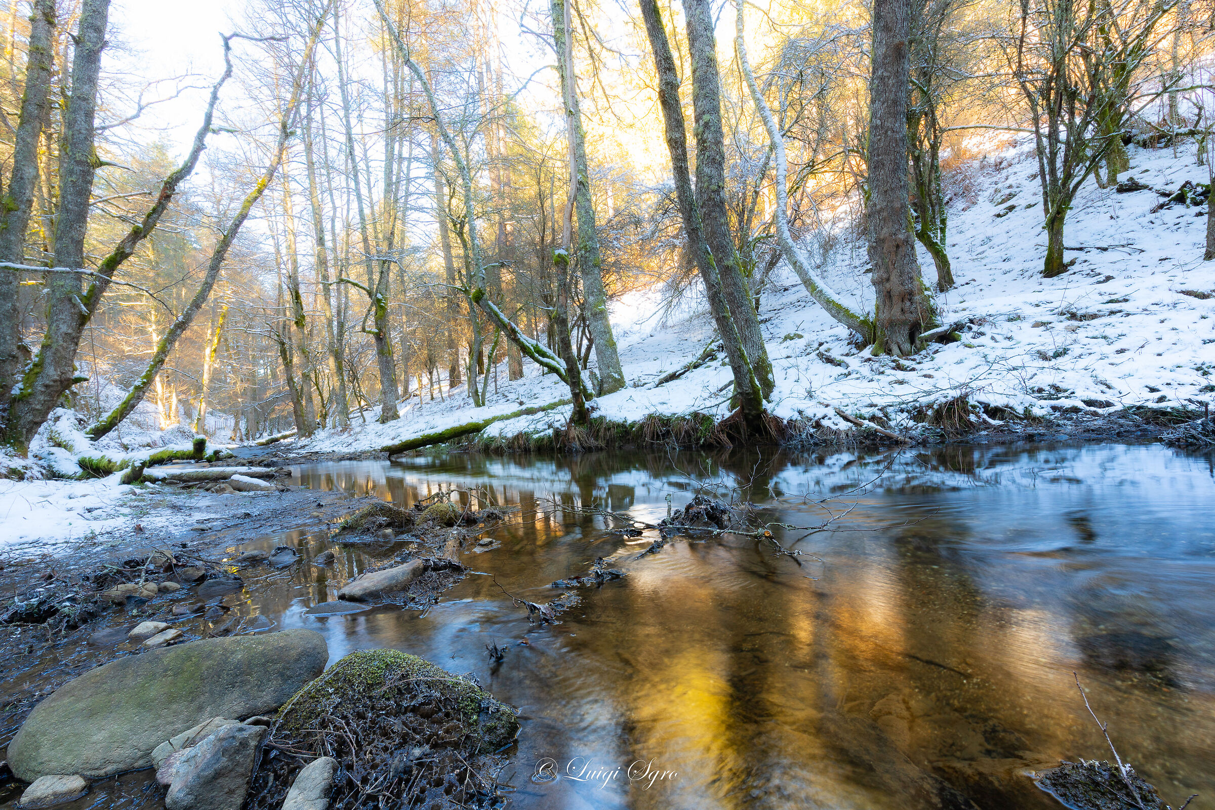 Torrente Simmerino