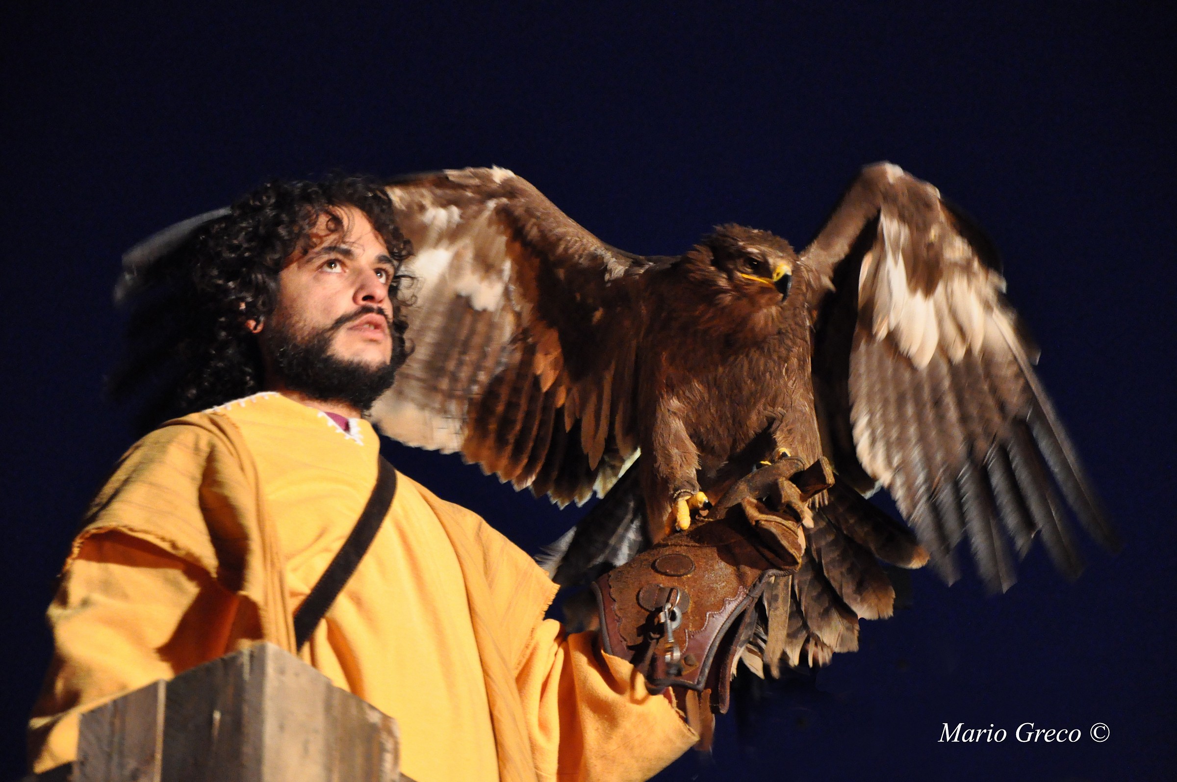 The Eagle and the Falconer