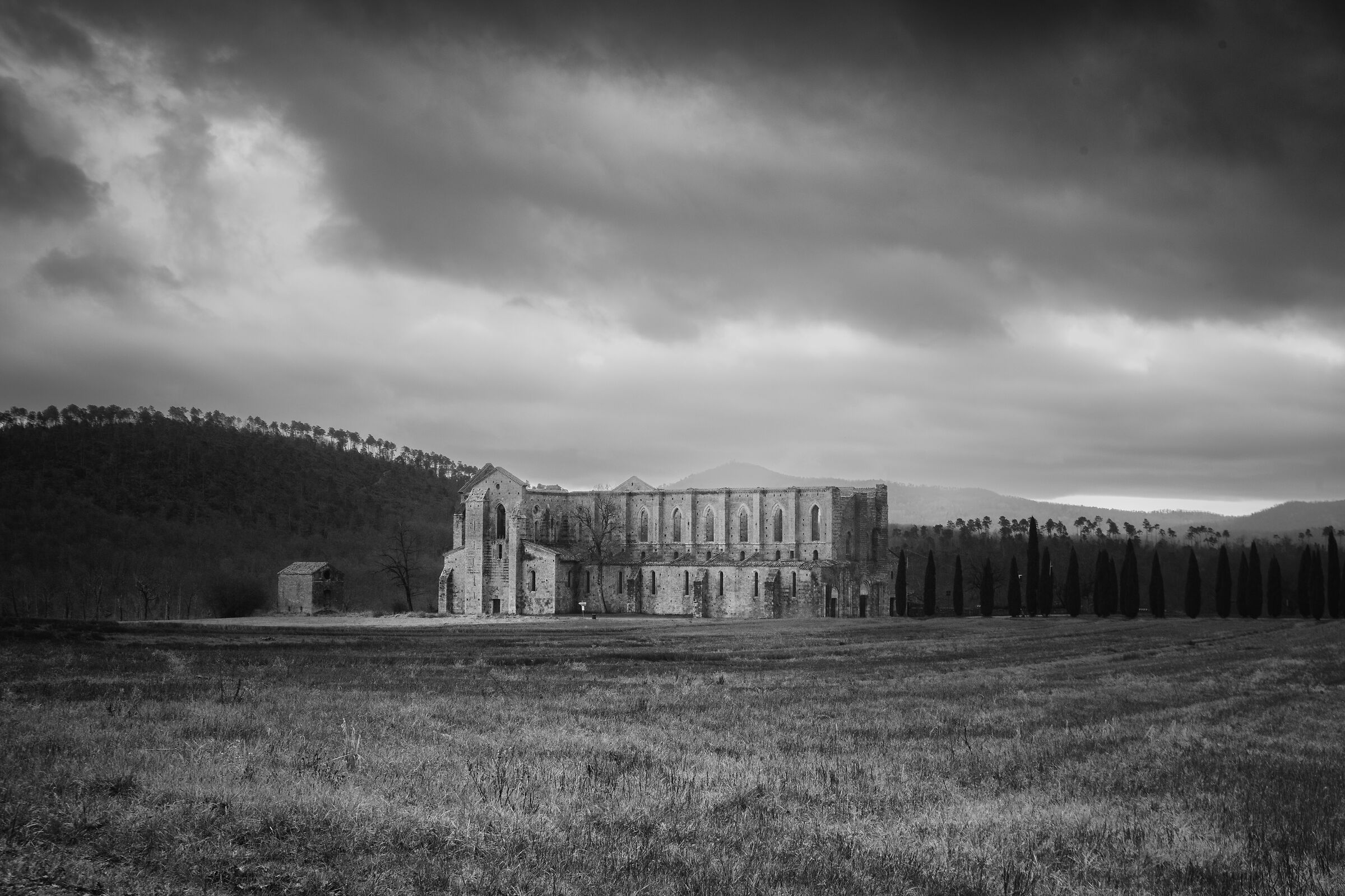Rainy day at the Abbey
