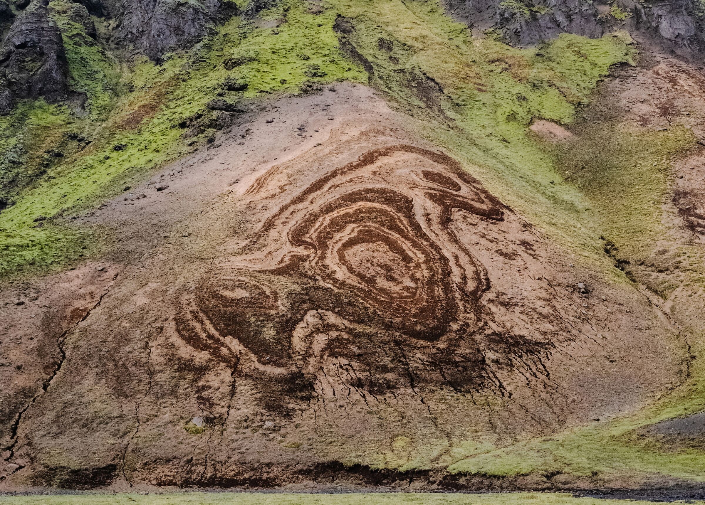 HIGHLANDS- SARD ROCK BIRD