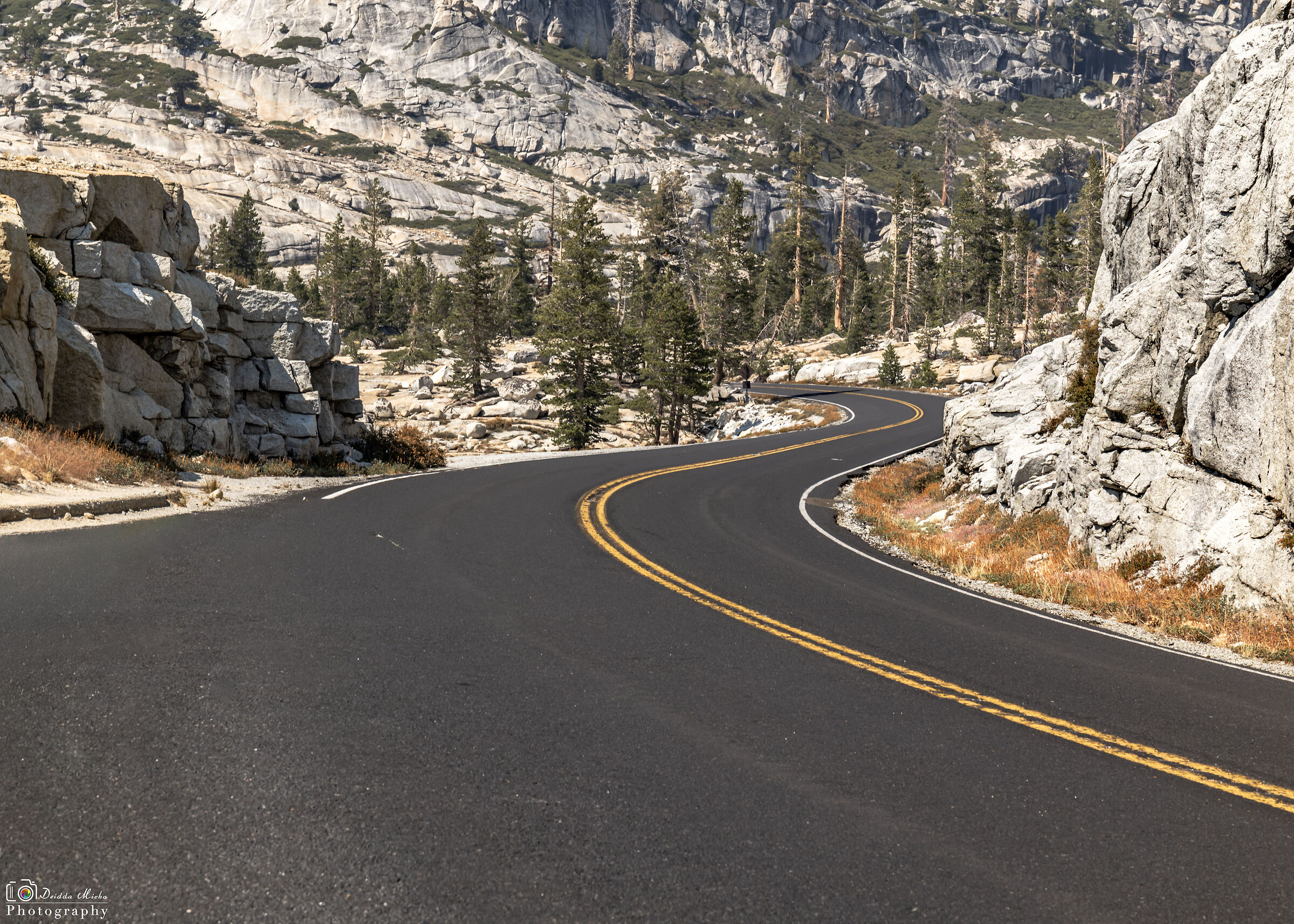Tioga Pass
