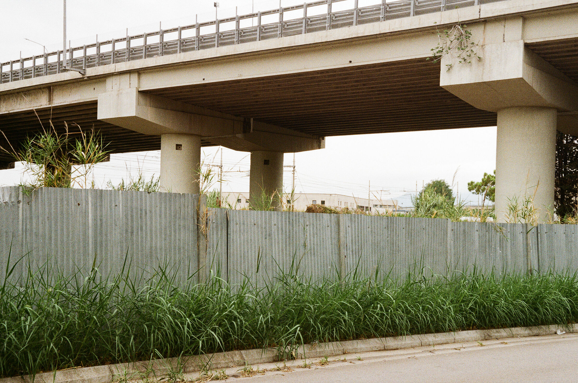 Riva destra del fiume - 5