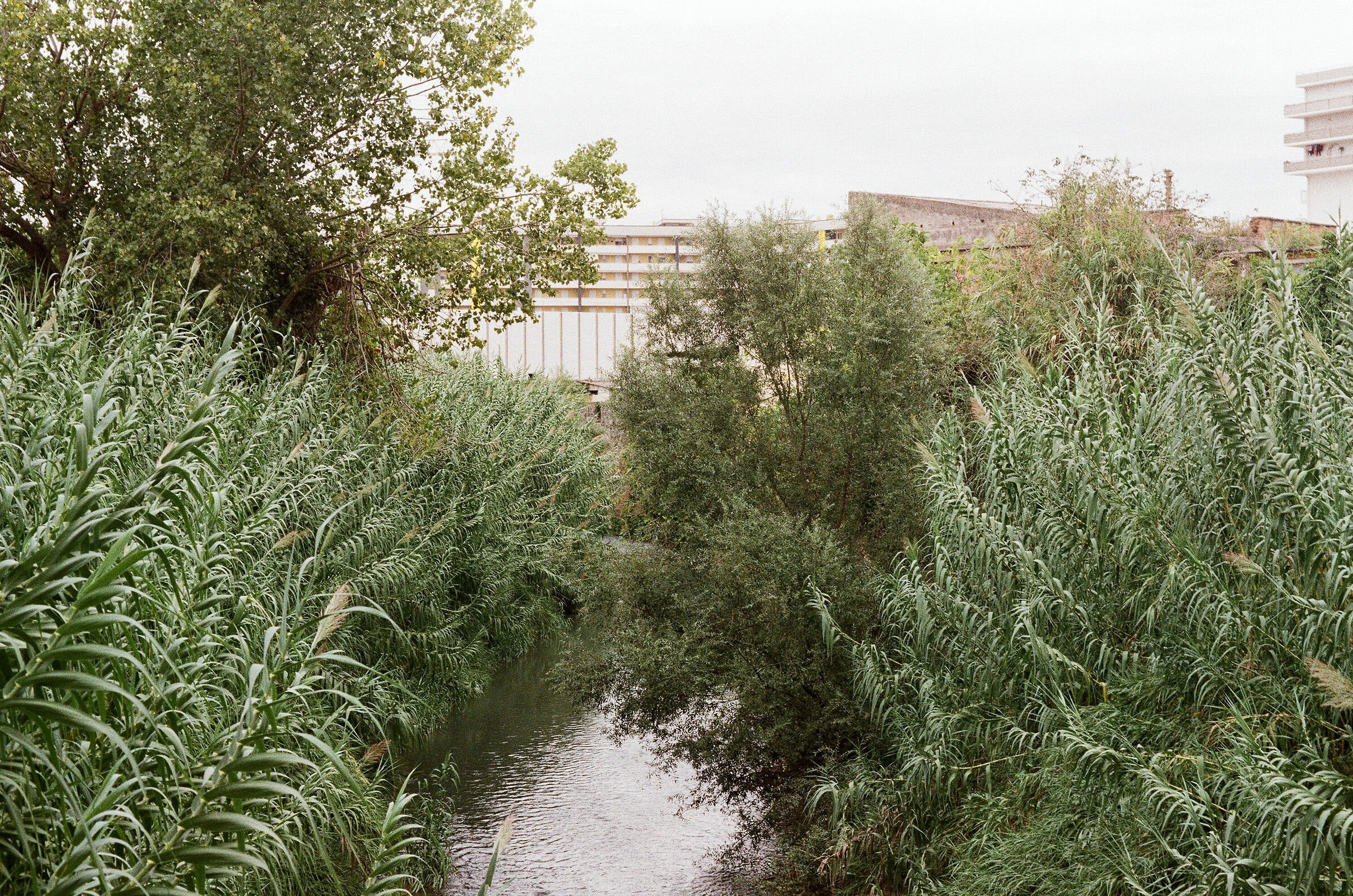 Riva destra del fiume - 6