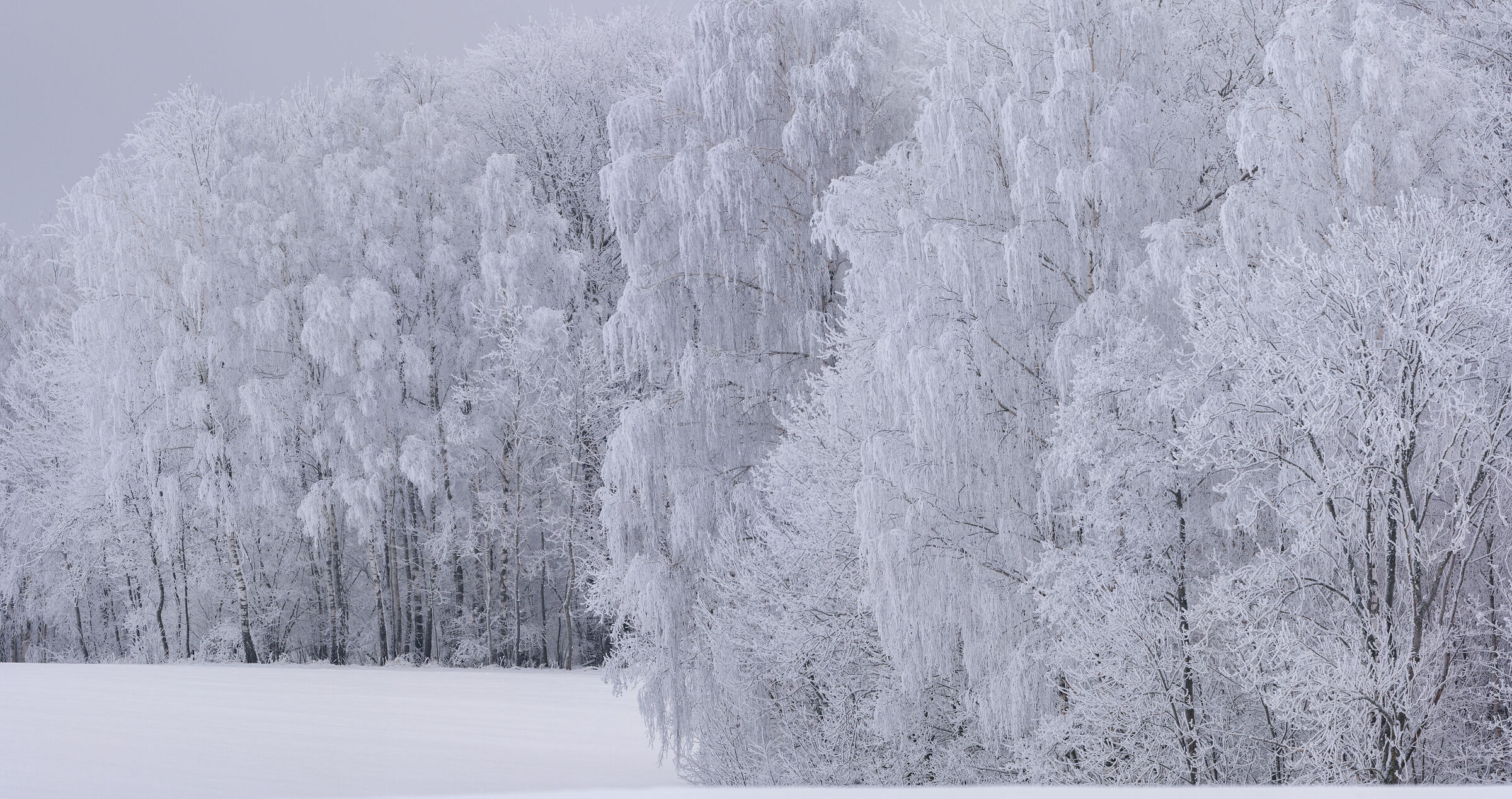 Our frosty winters, - White, white - wherever I look.