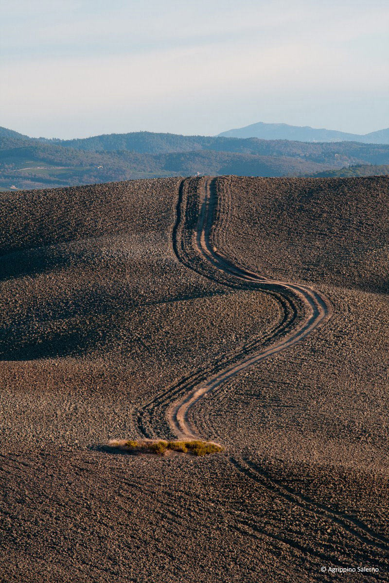 Crete senesi