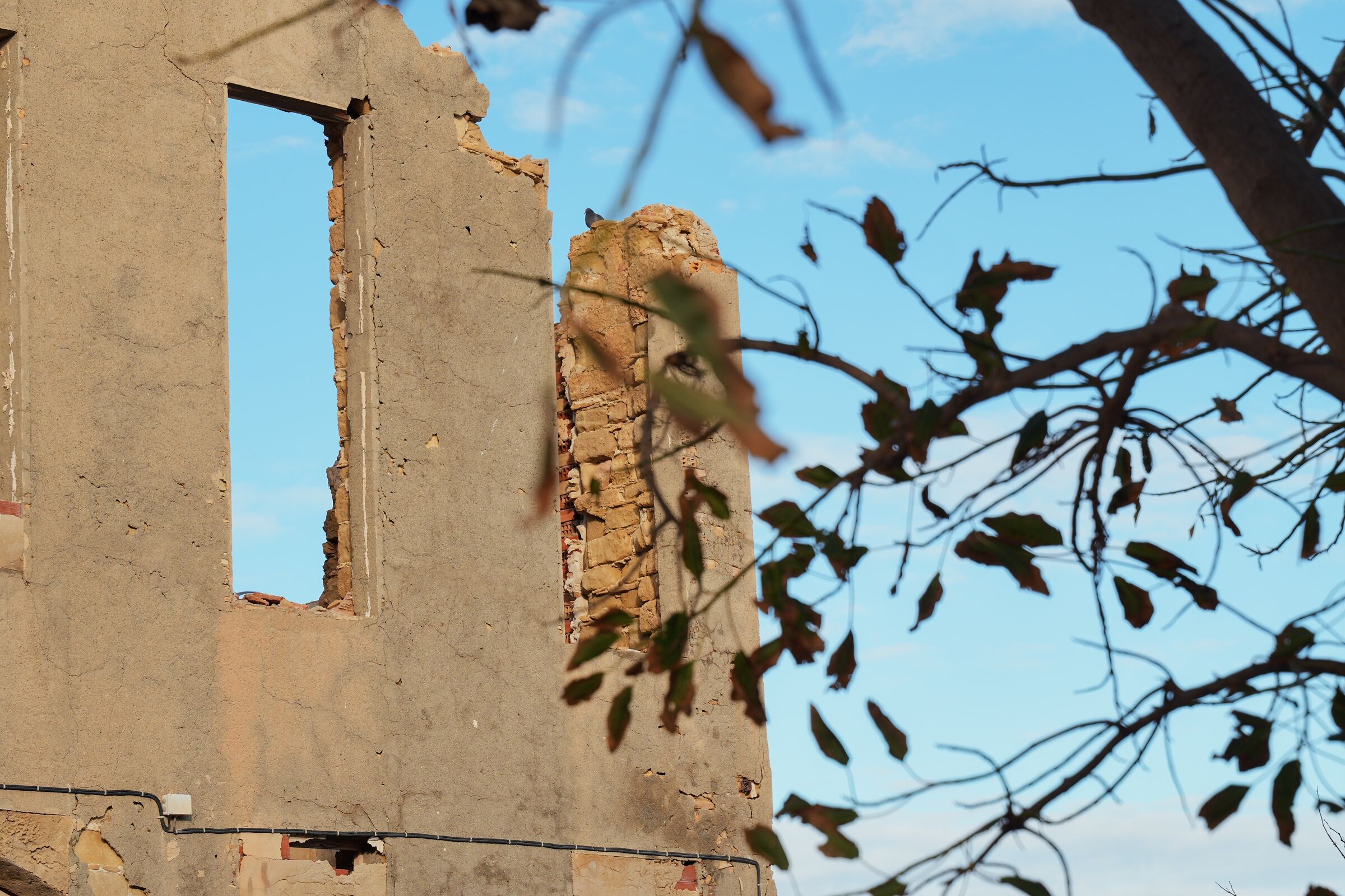 Rovine