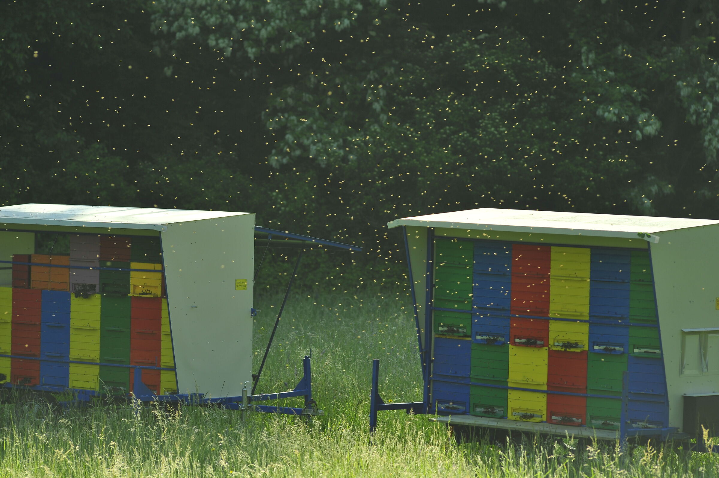 Beehives n.2