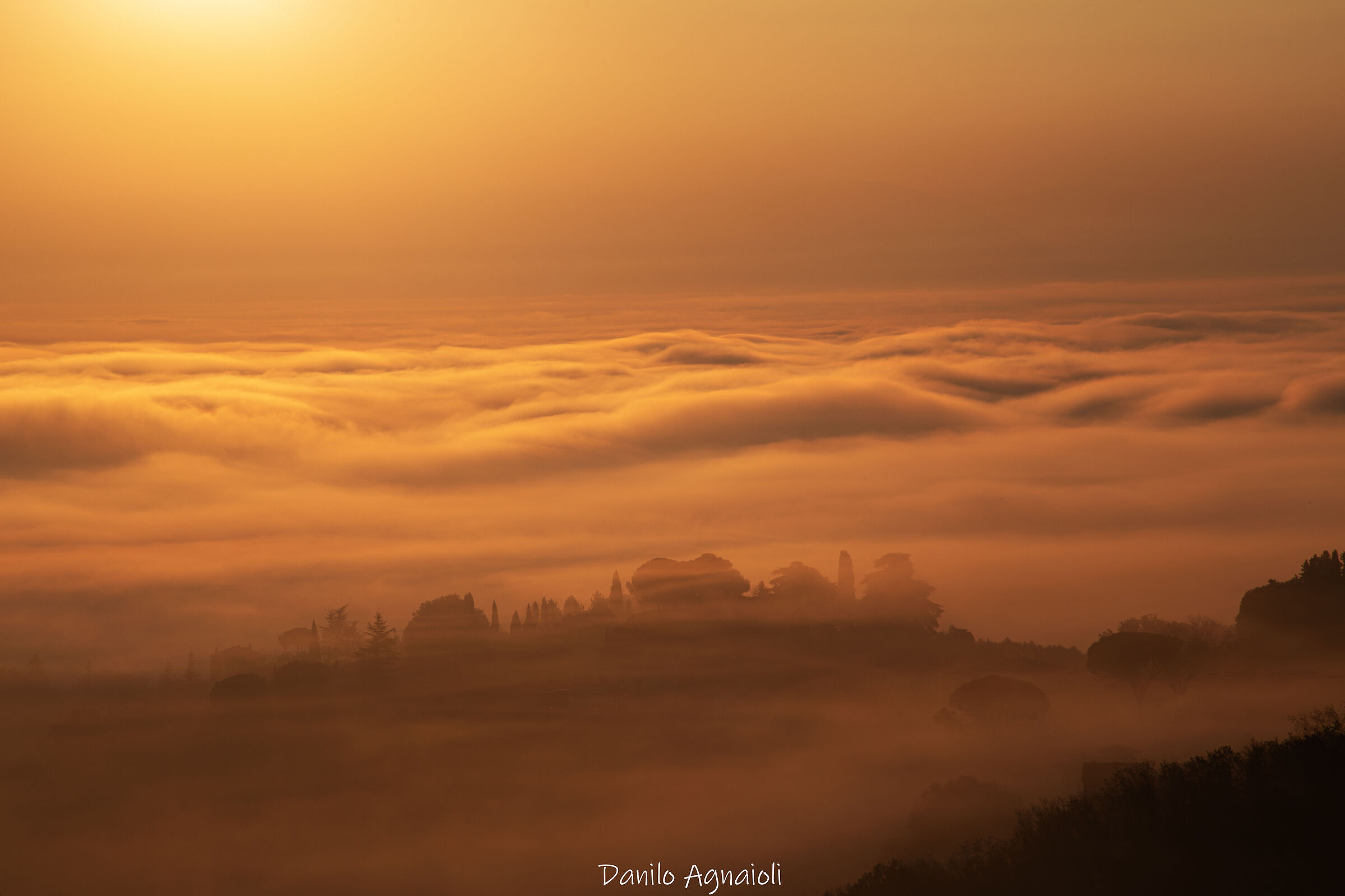 Where the dawn floats