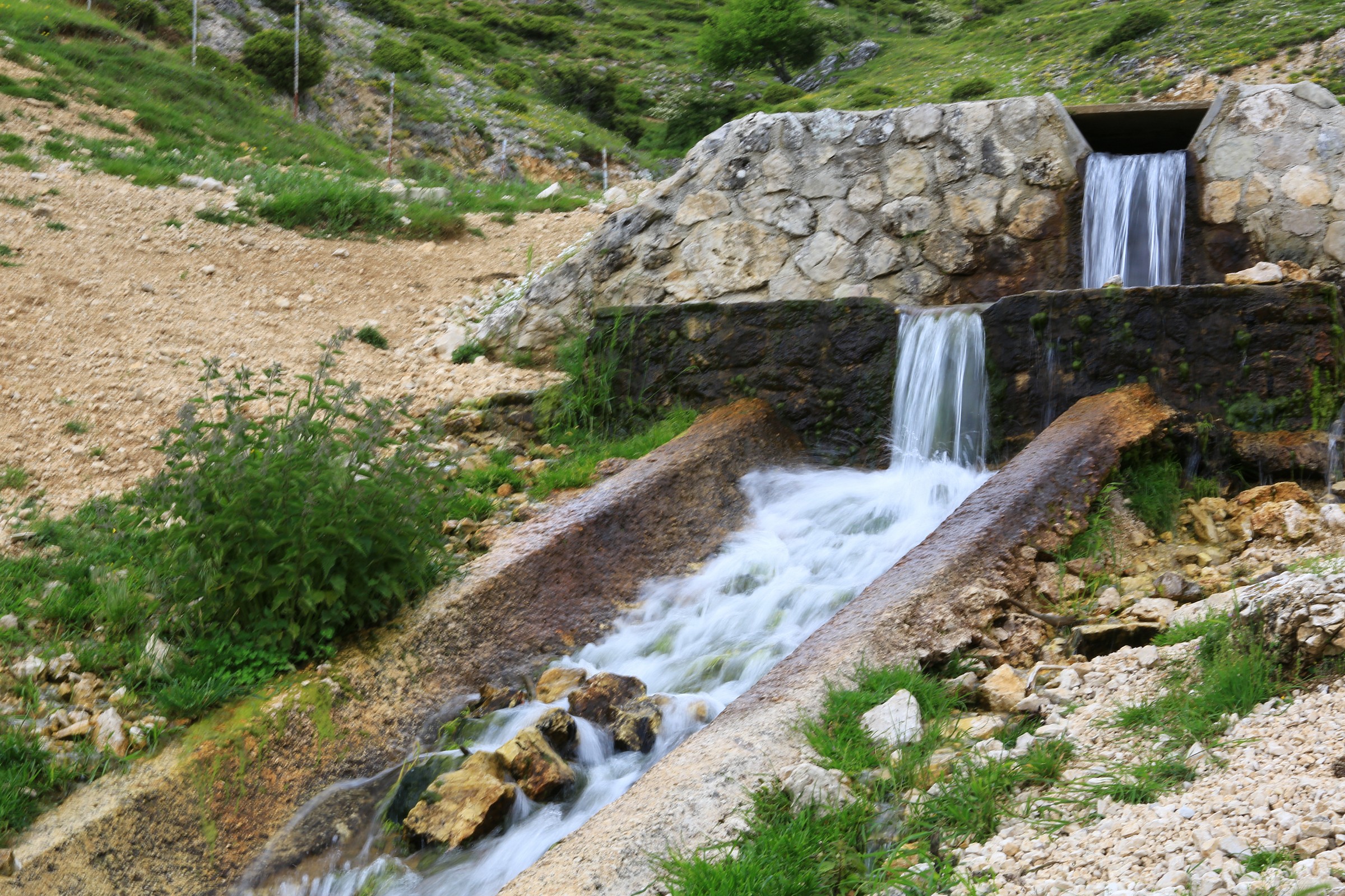Una gita in montagna.