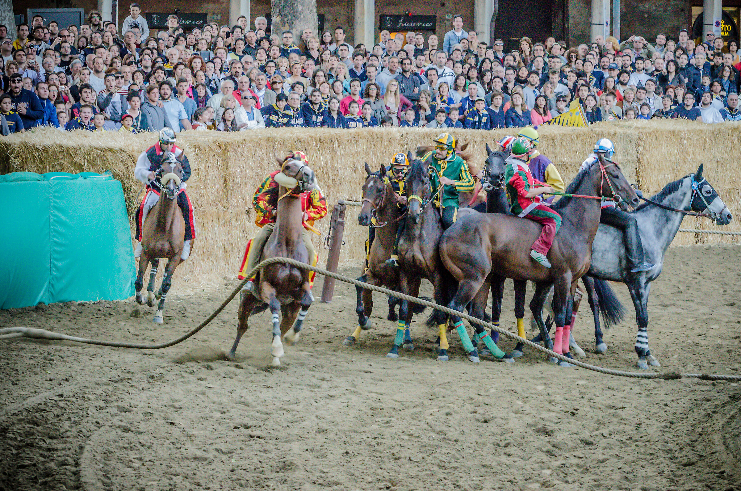 Ready... go! Palio of Ferrara