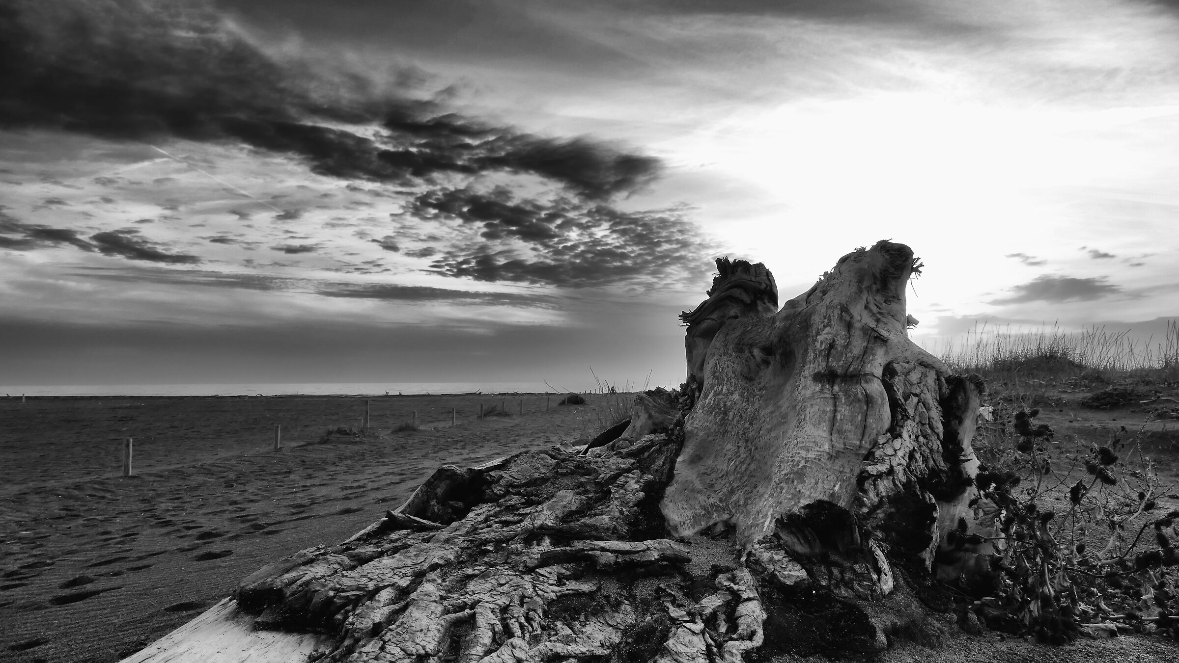 La calma invernale della spiaggia