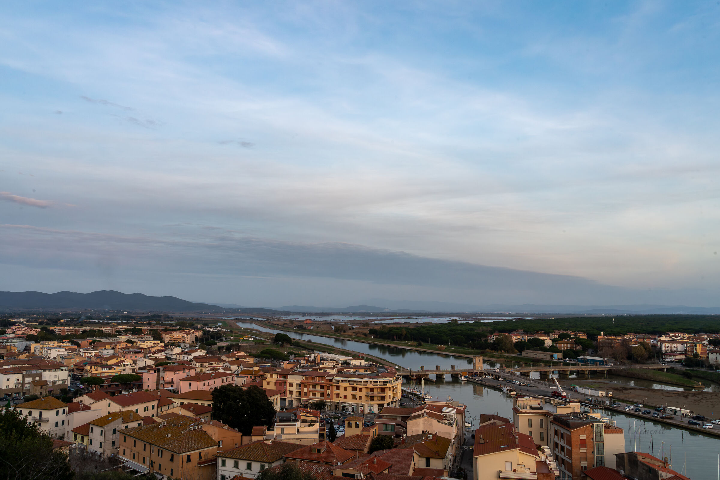 The Diaccia Botrona swamp