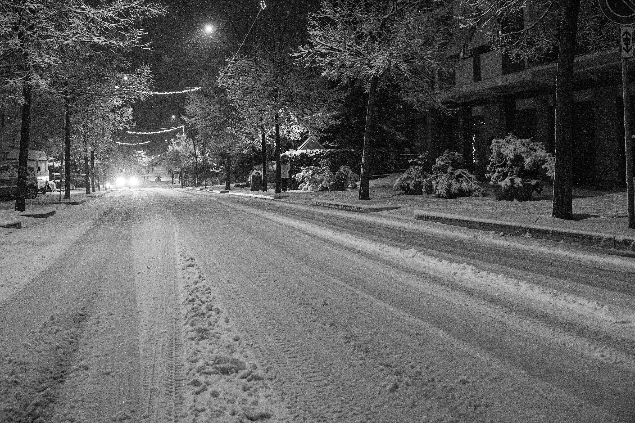 A volte ritorna... Mogliano 06-01-2026