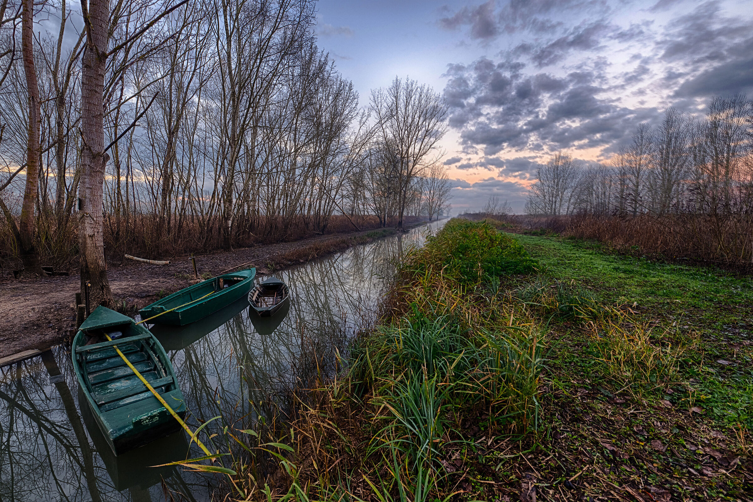 Fucecchio Marshes