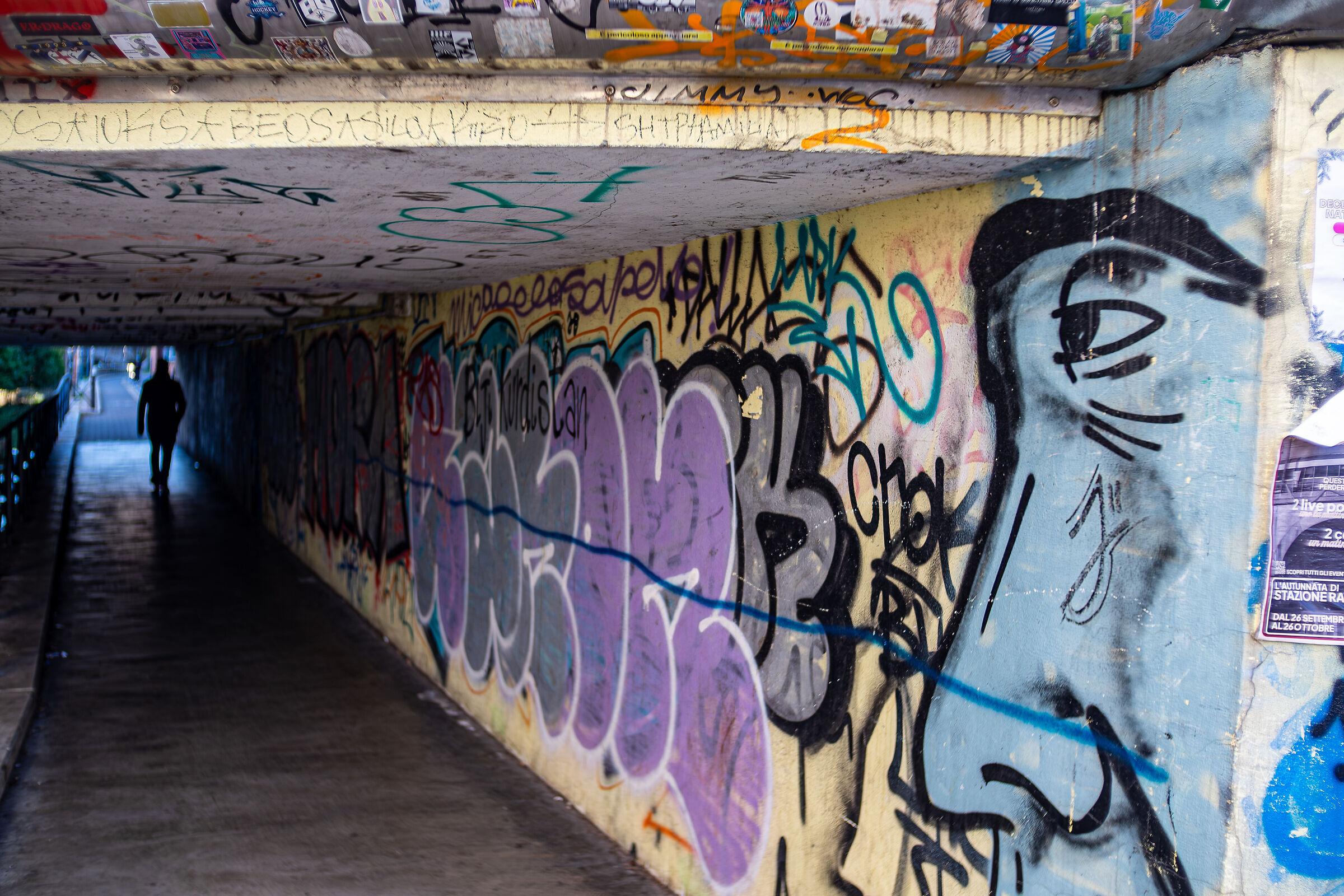 Street Milano, Martesana