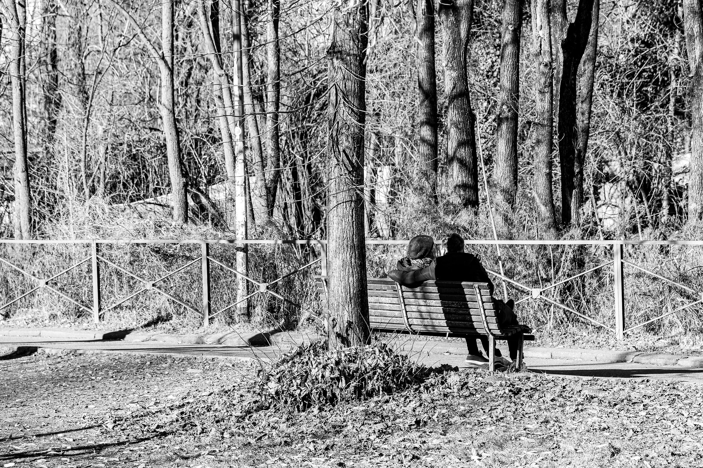 Street Milano, Martesana