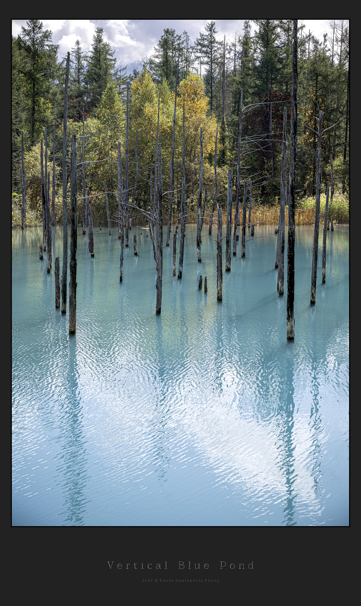 Vertical Blue Pond
