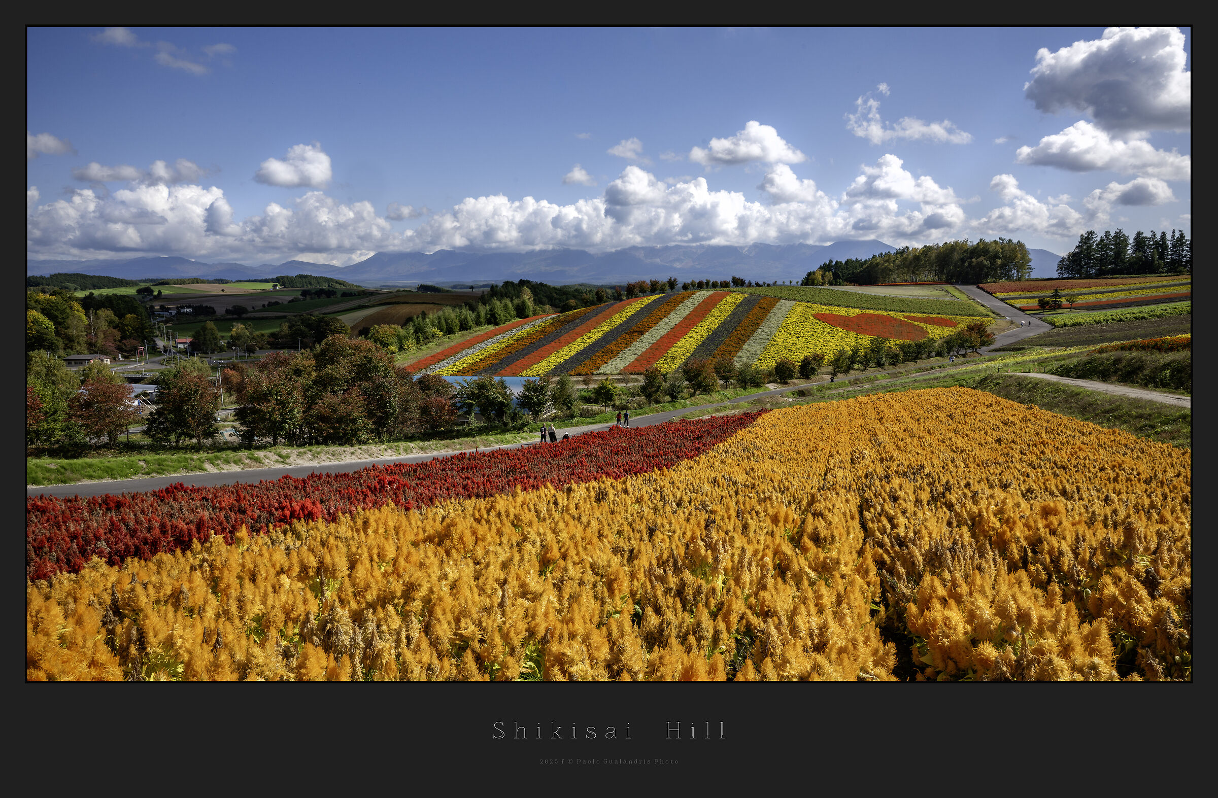 Shikisai Hill