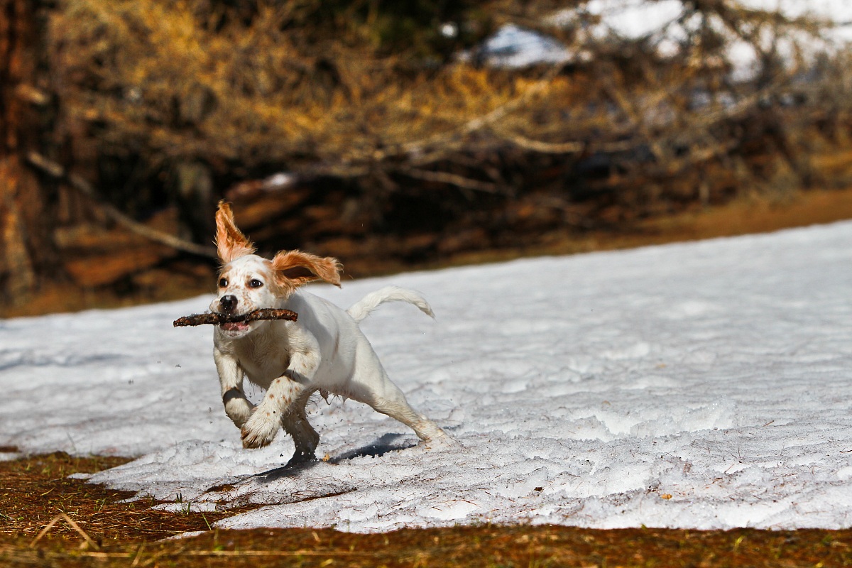 small but .. powerful